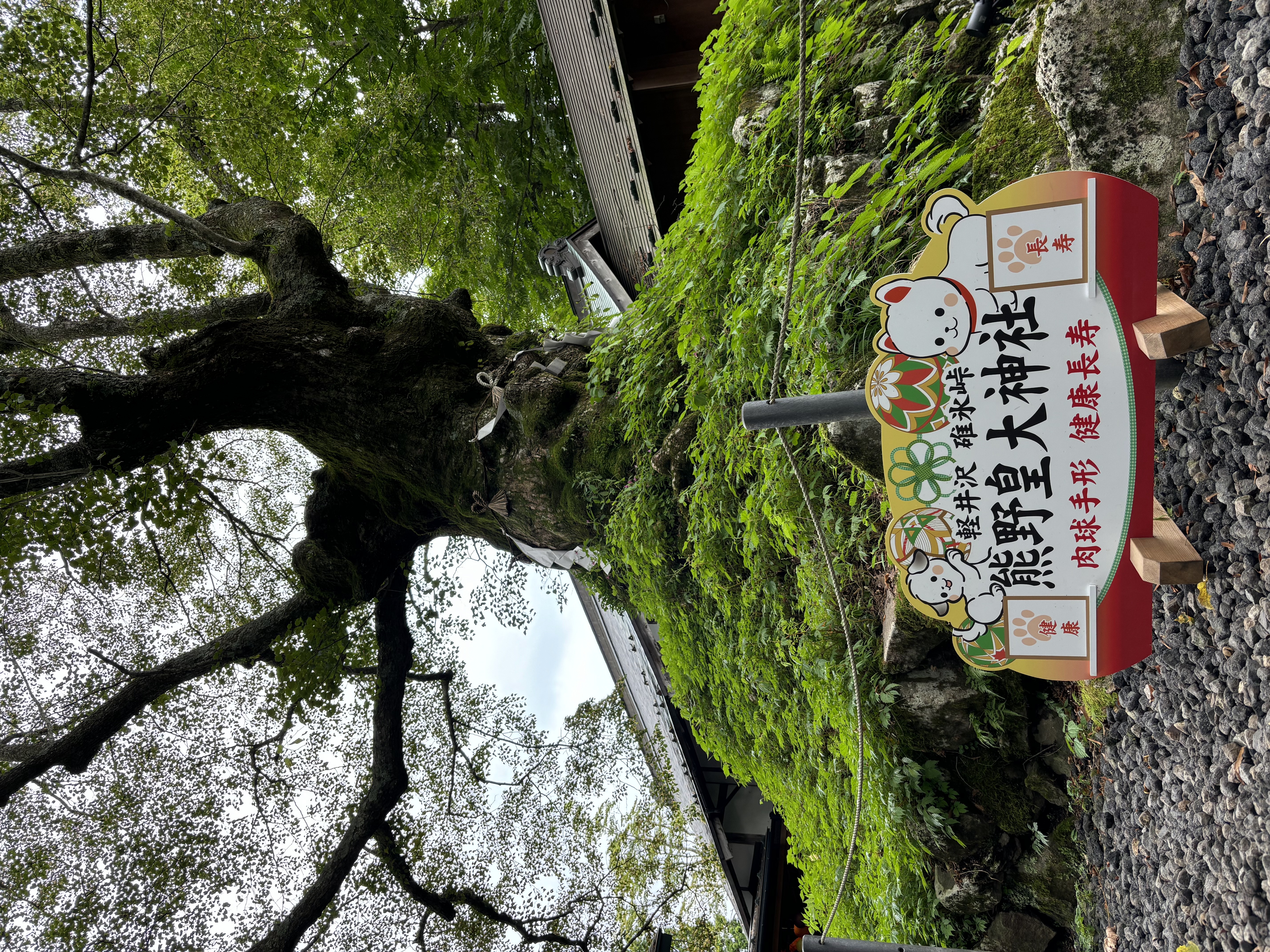 写真4