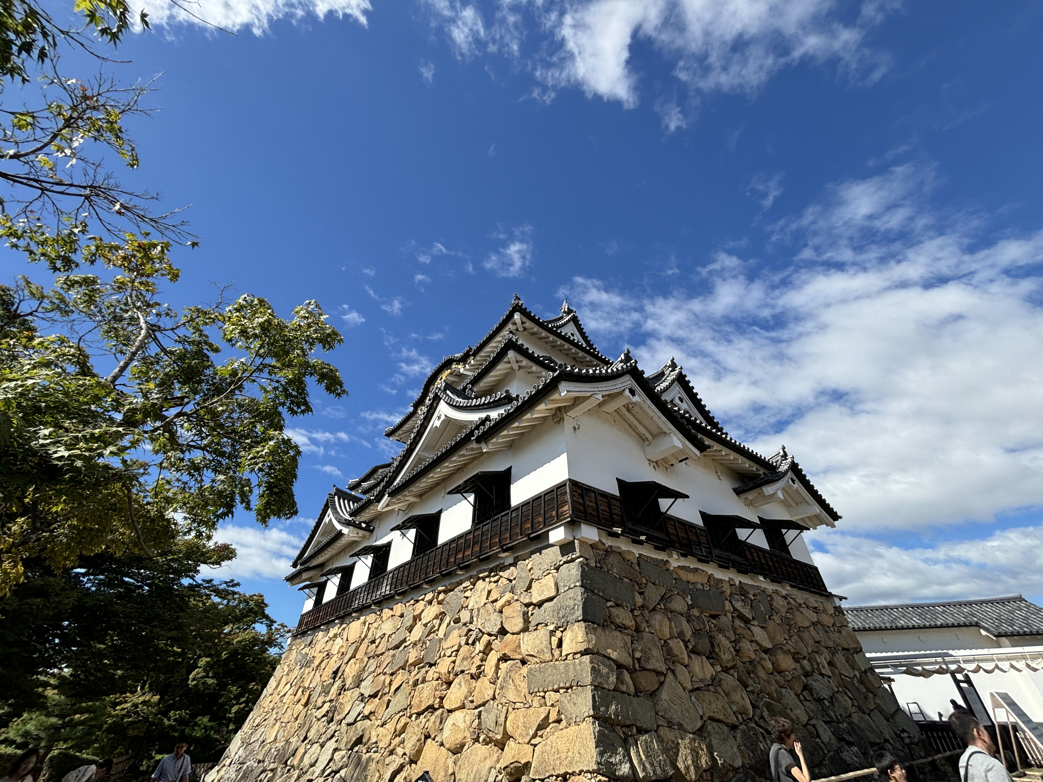 写真2