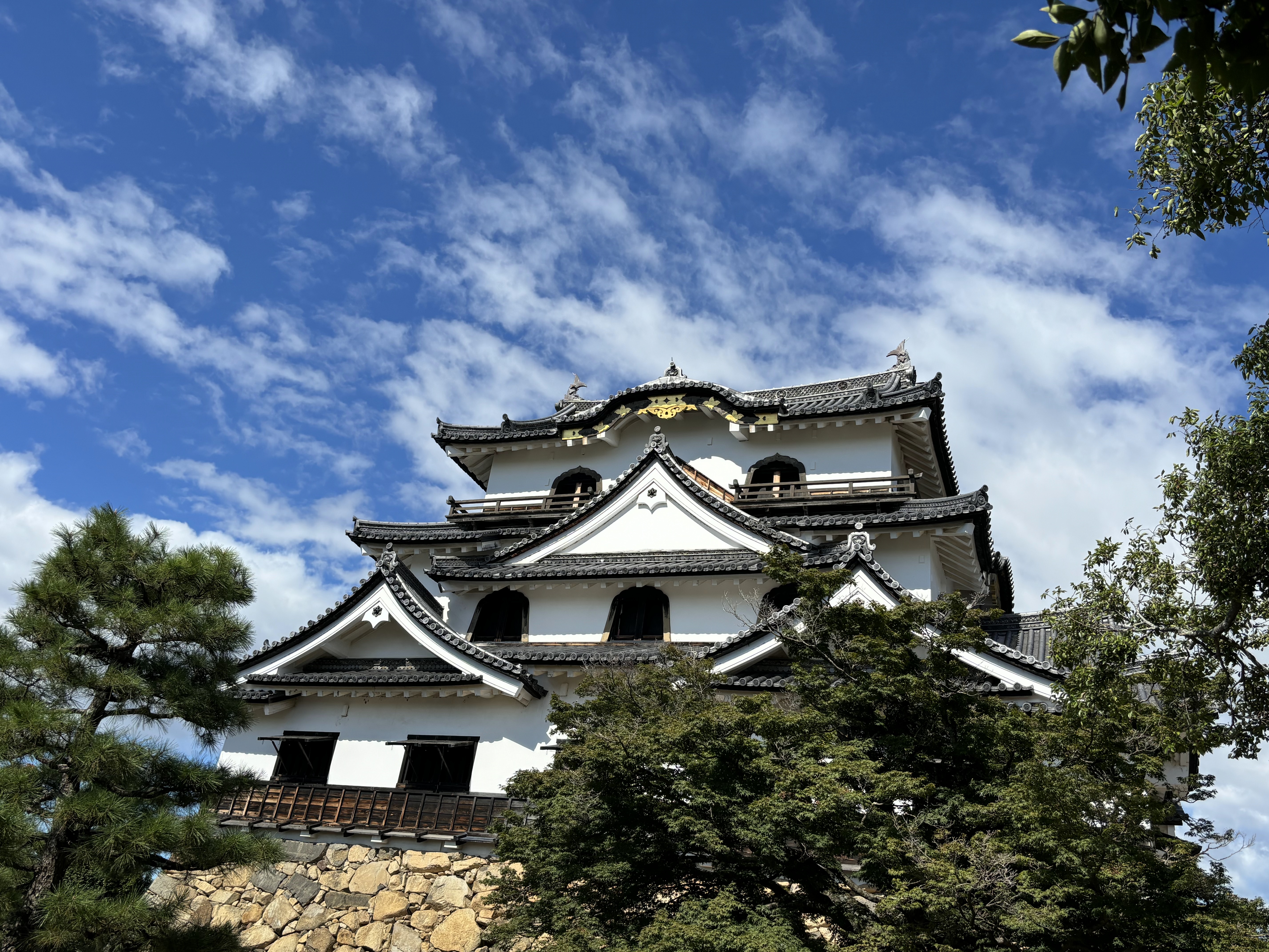 写真1