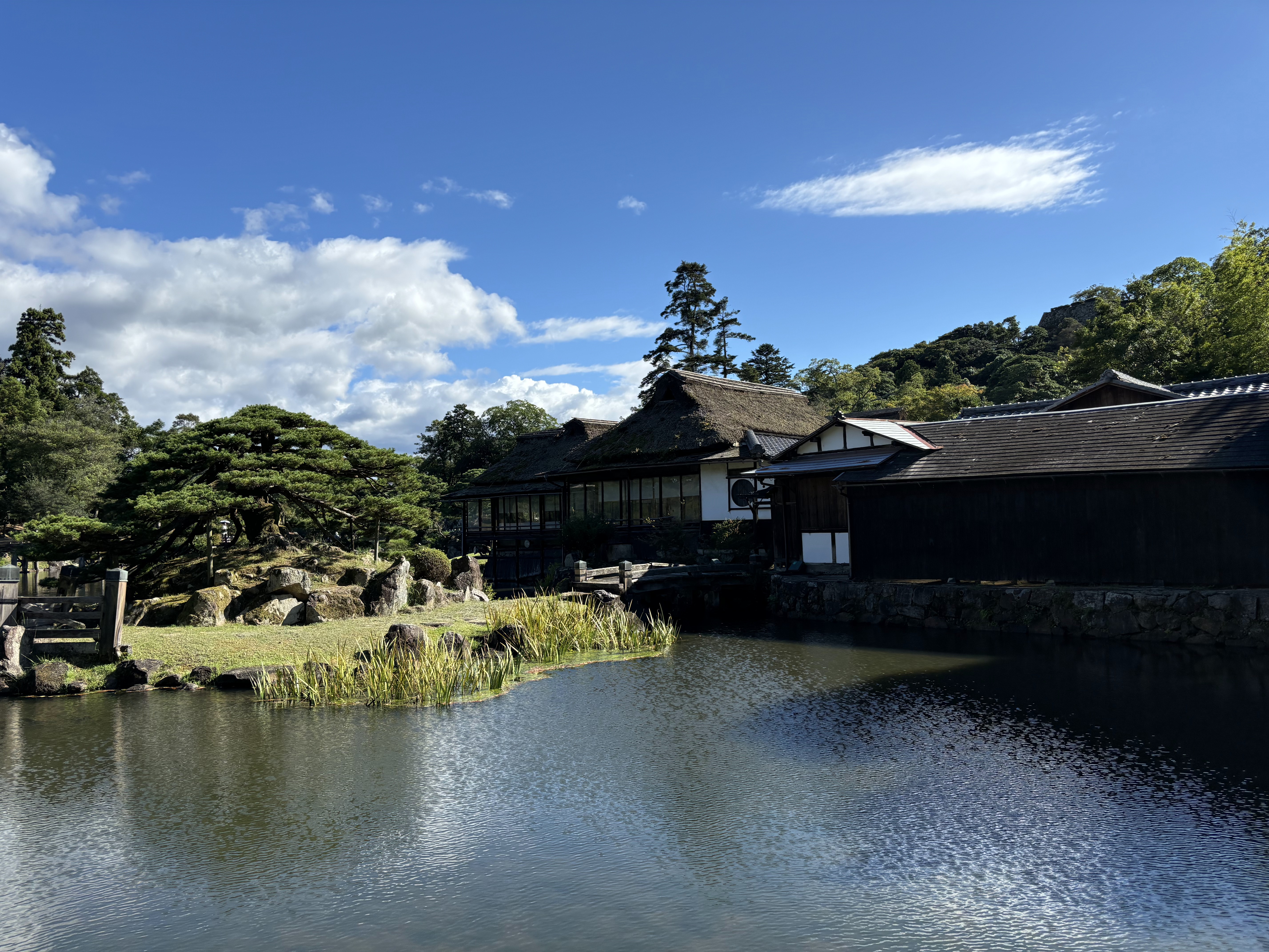 写真2