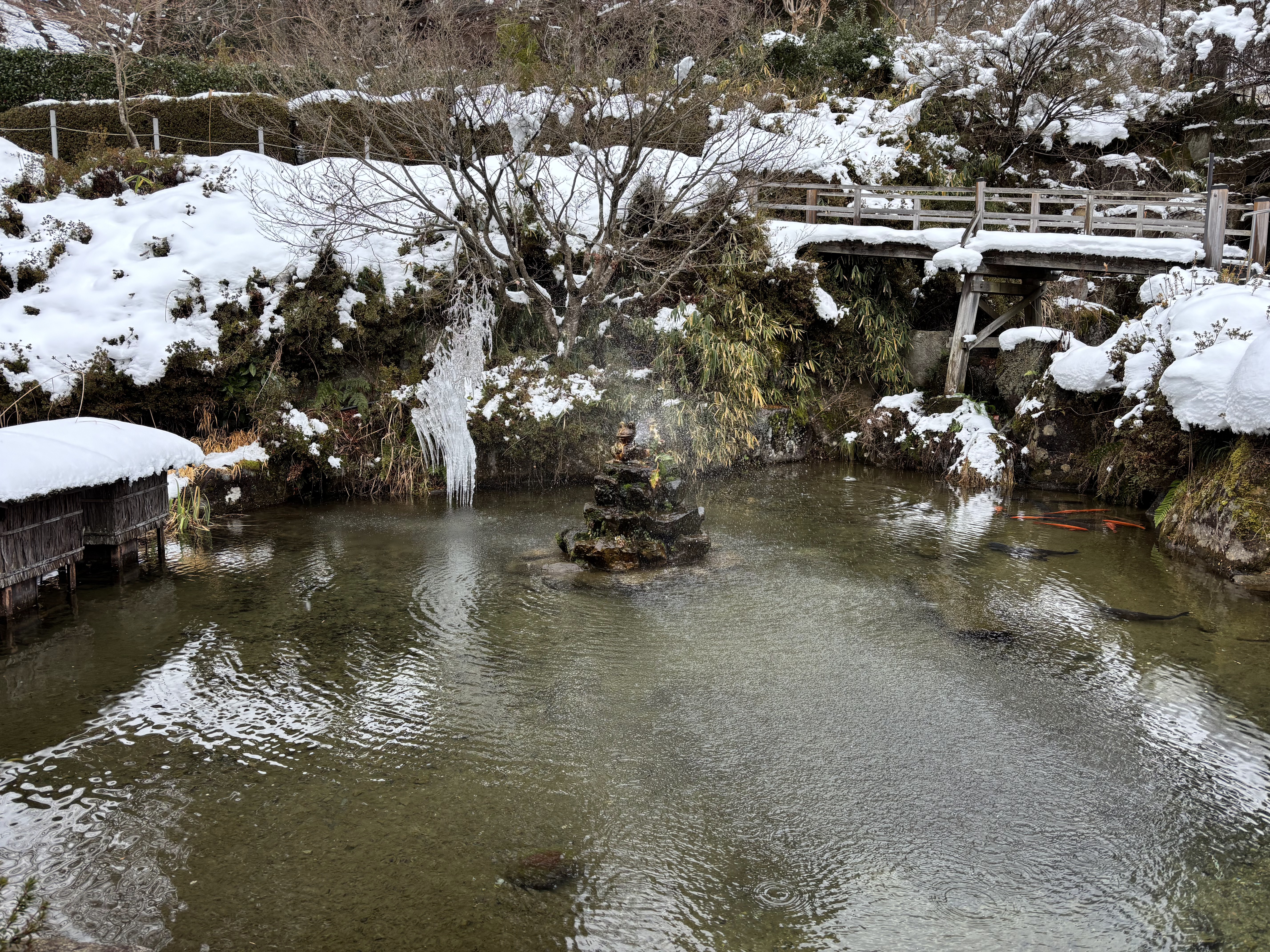 写真4