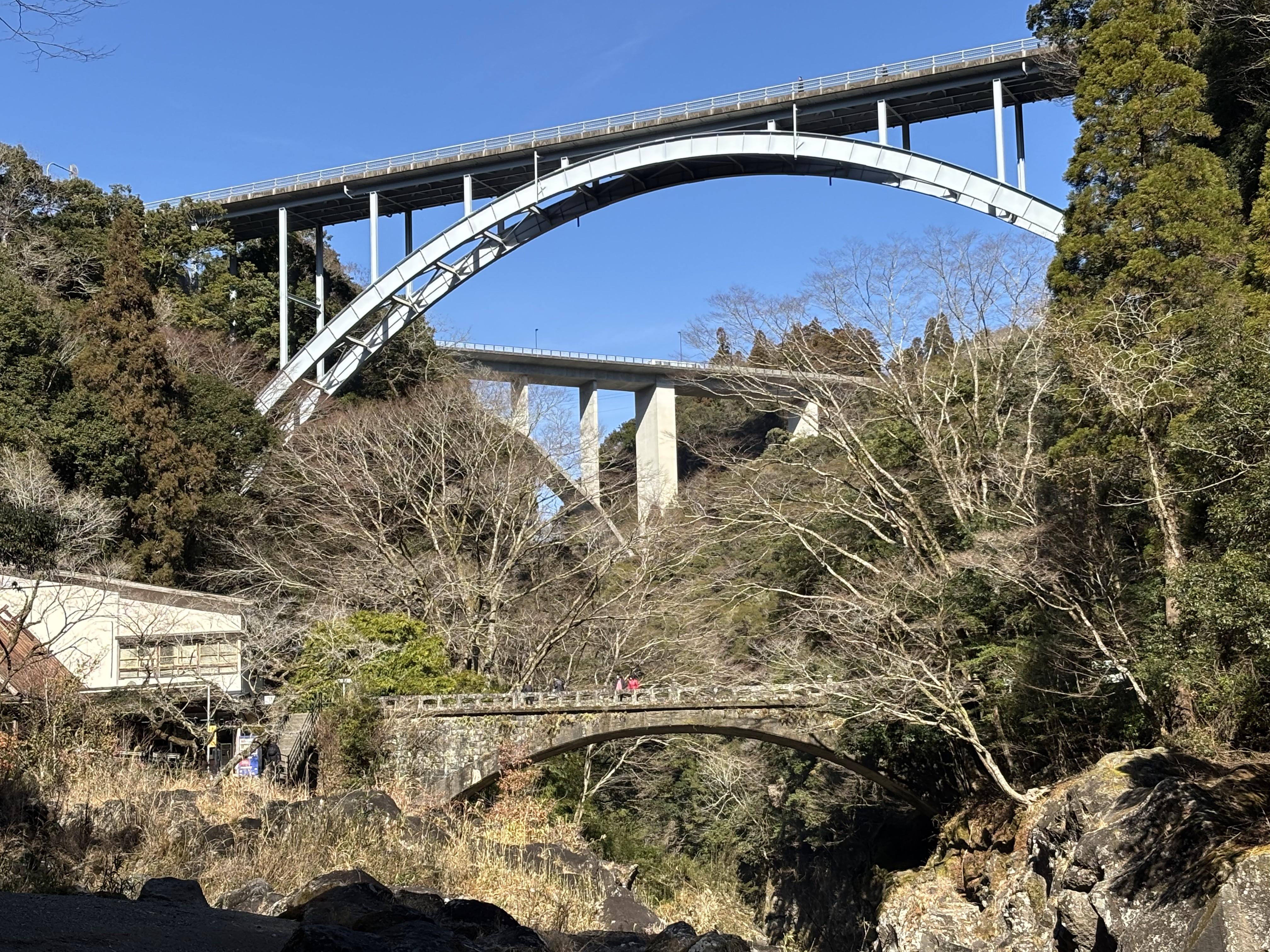 写真1