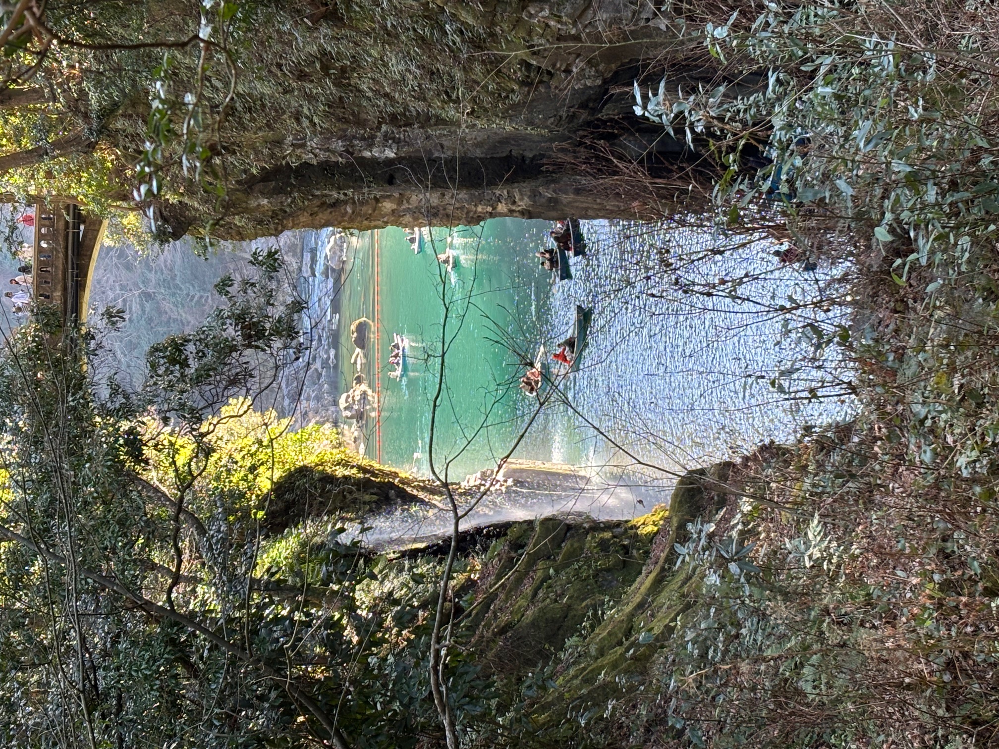 写真4
