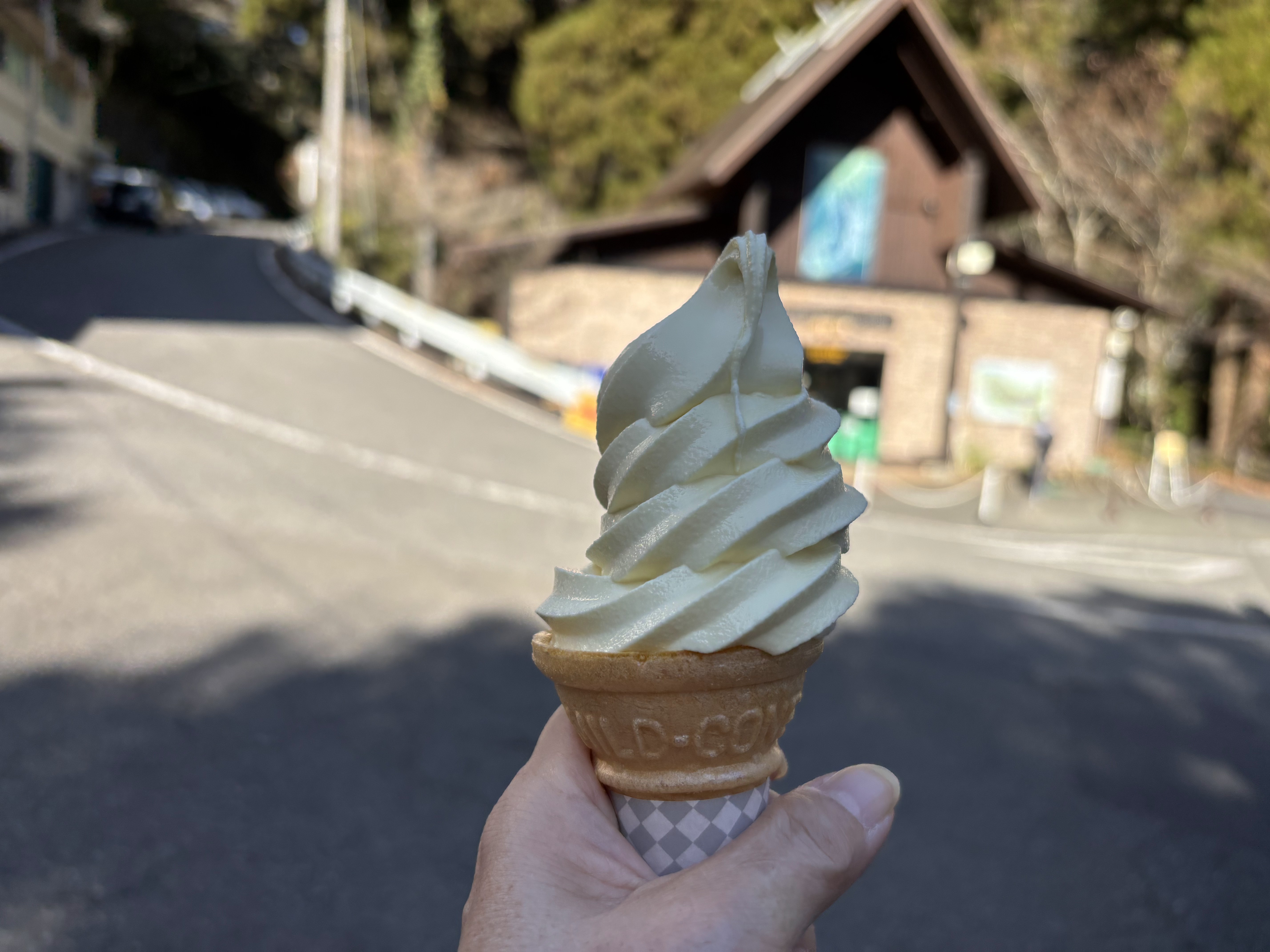 写真4