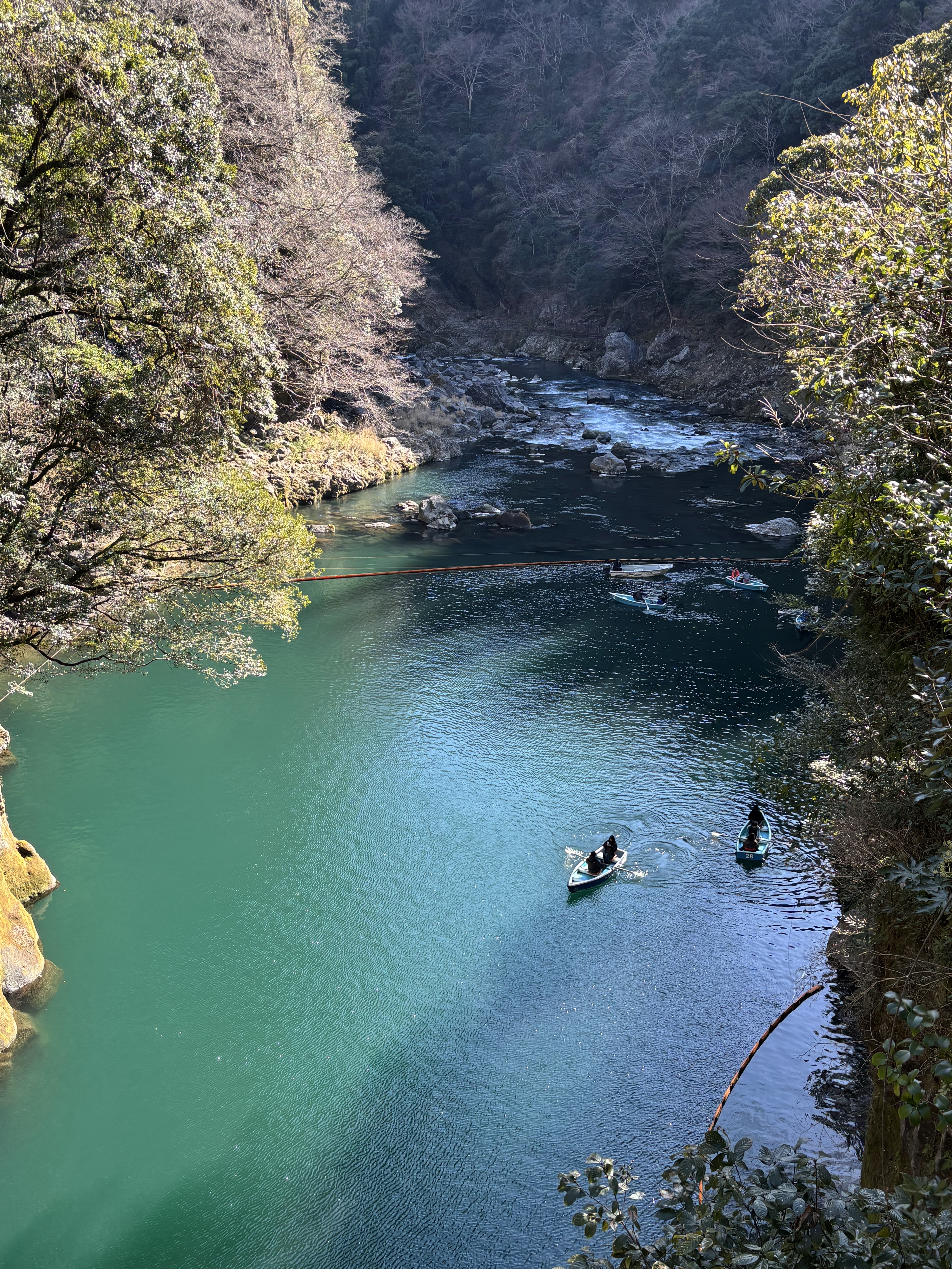 写真3