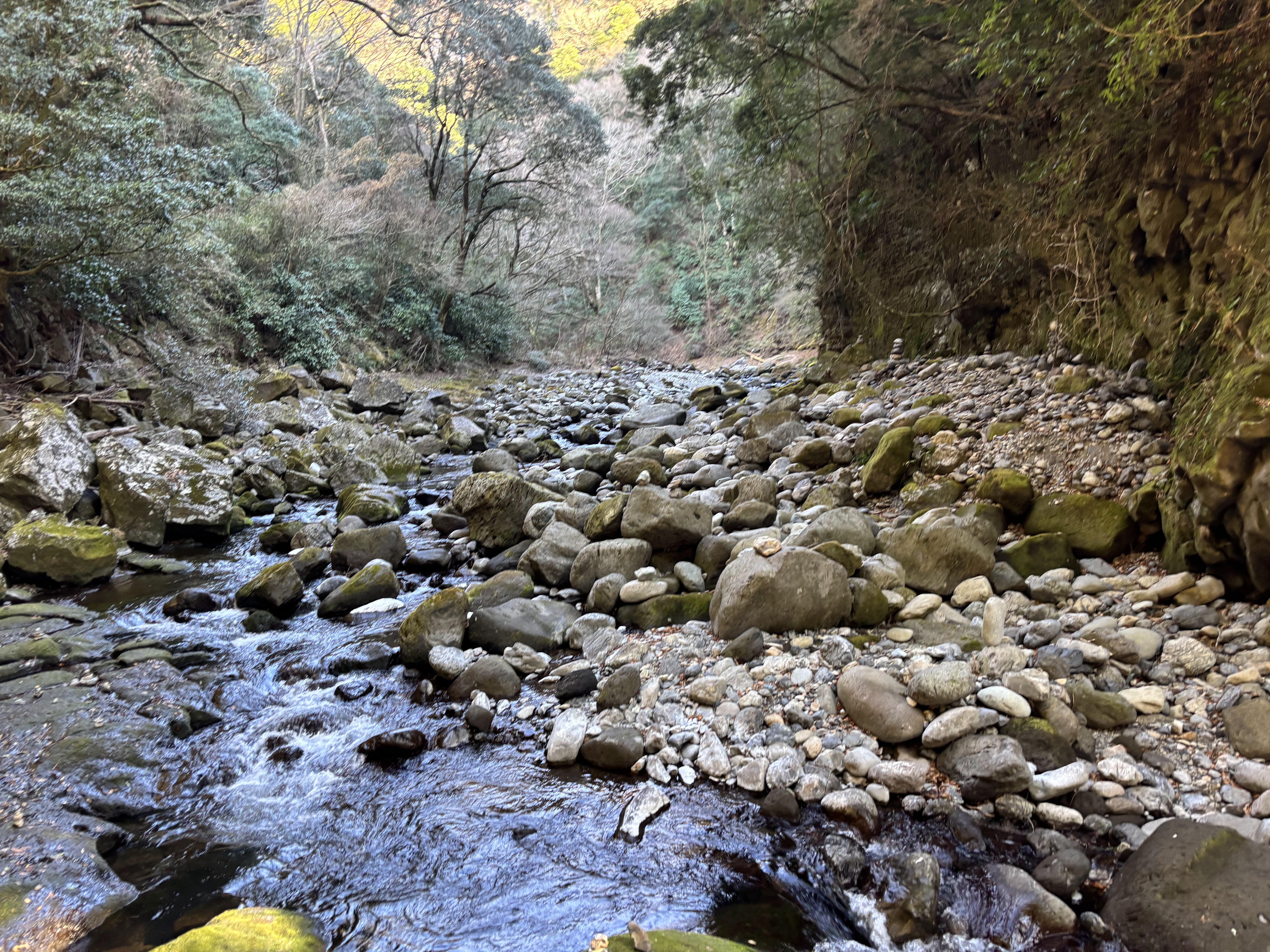 写真4