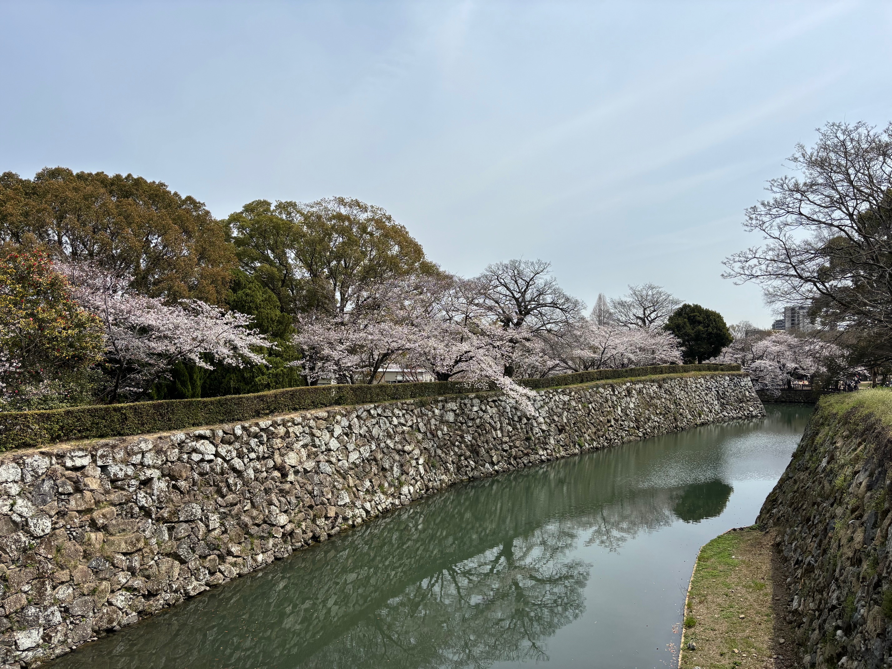 姫路城お濠