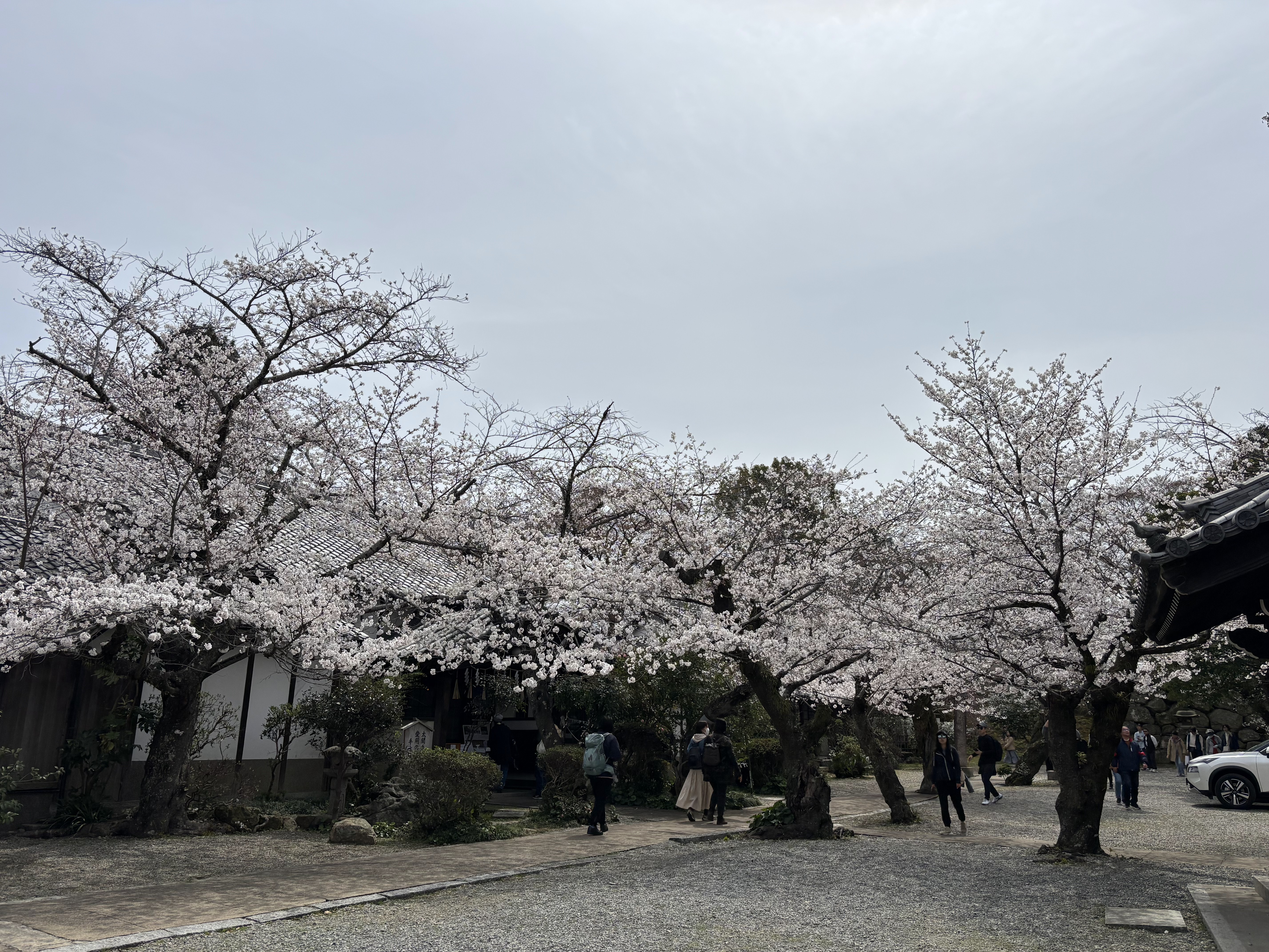 姫路神社３