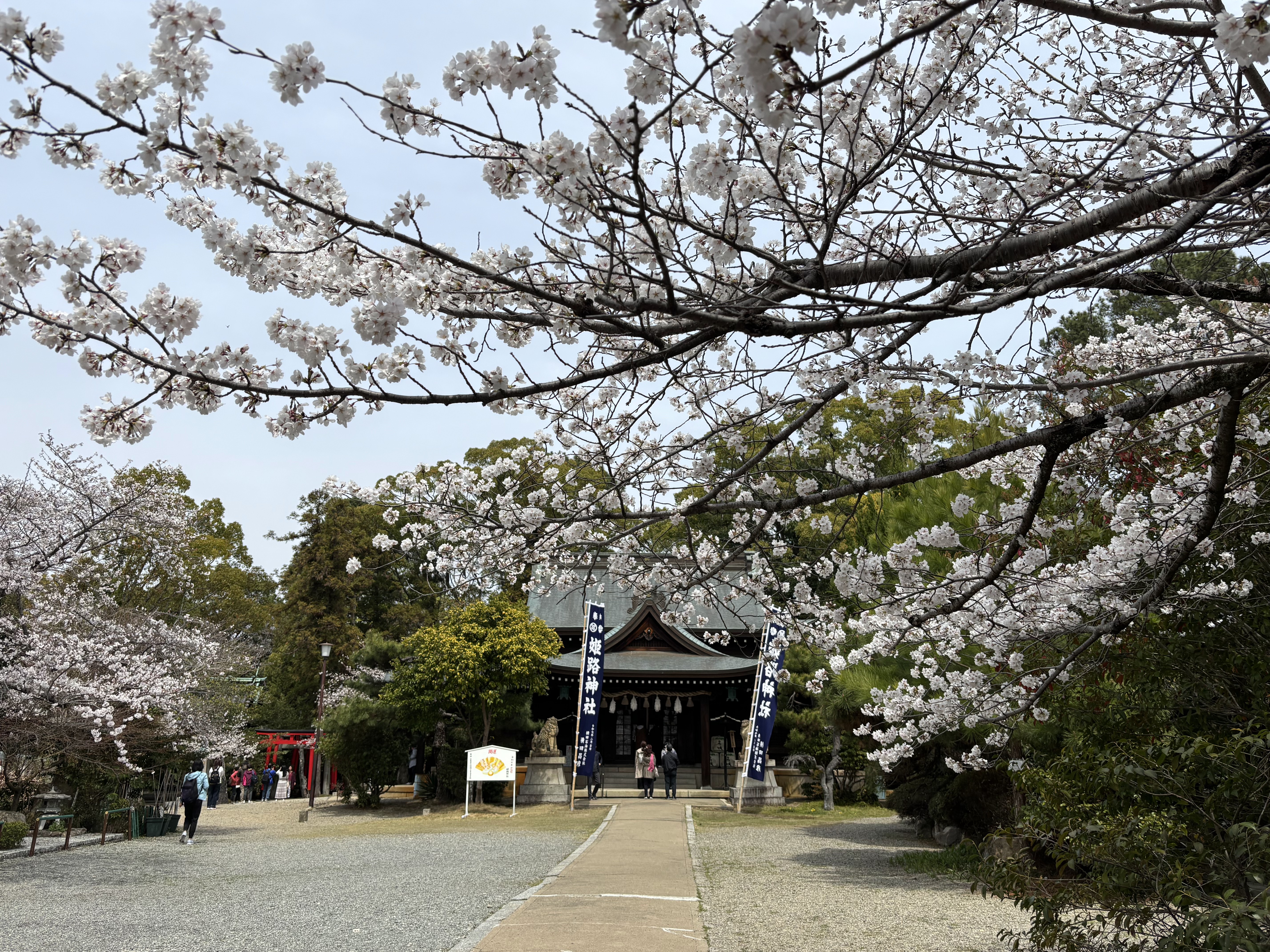 姫路神社2