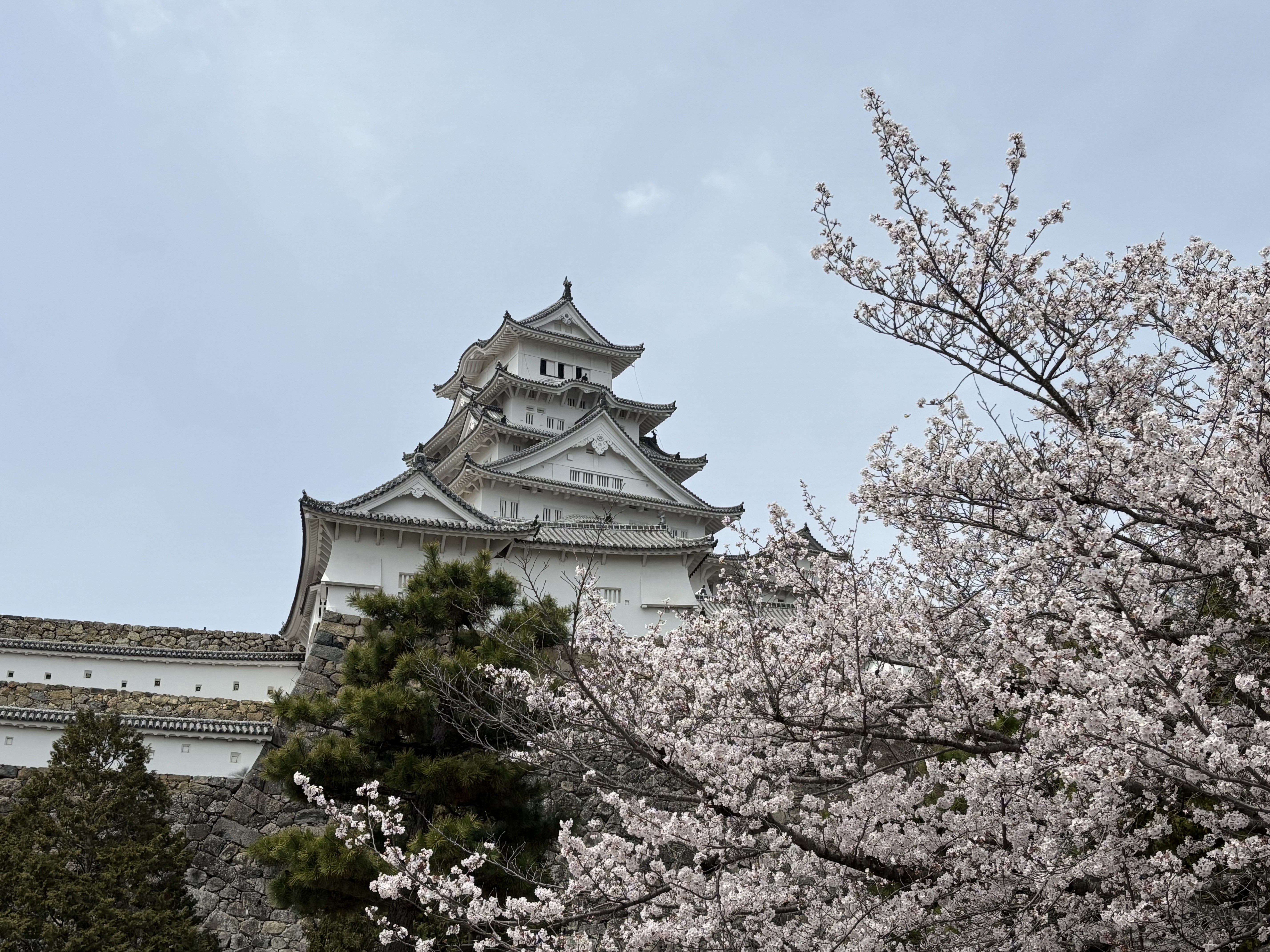 姫路城4
