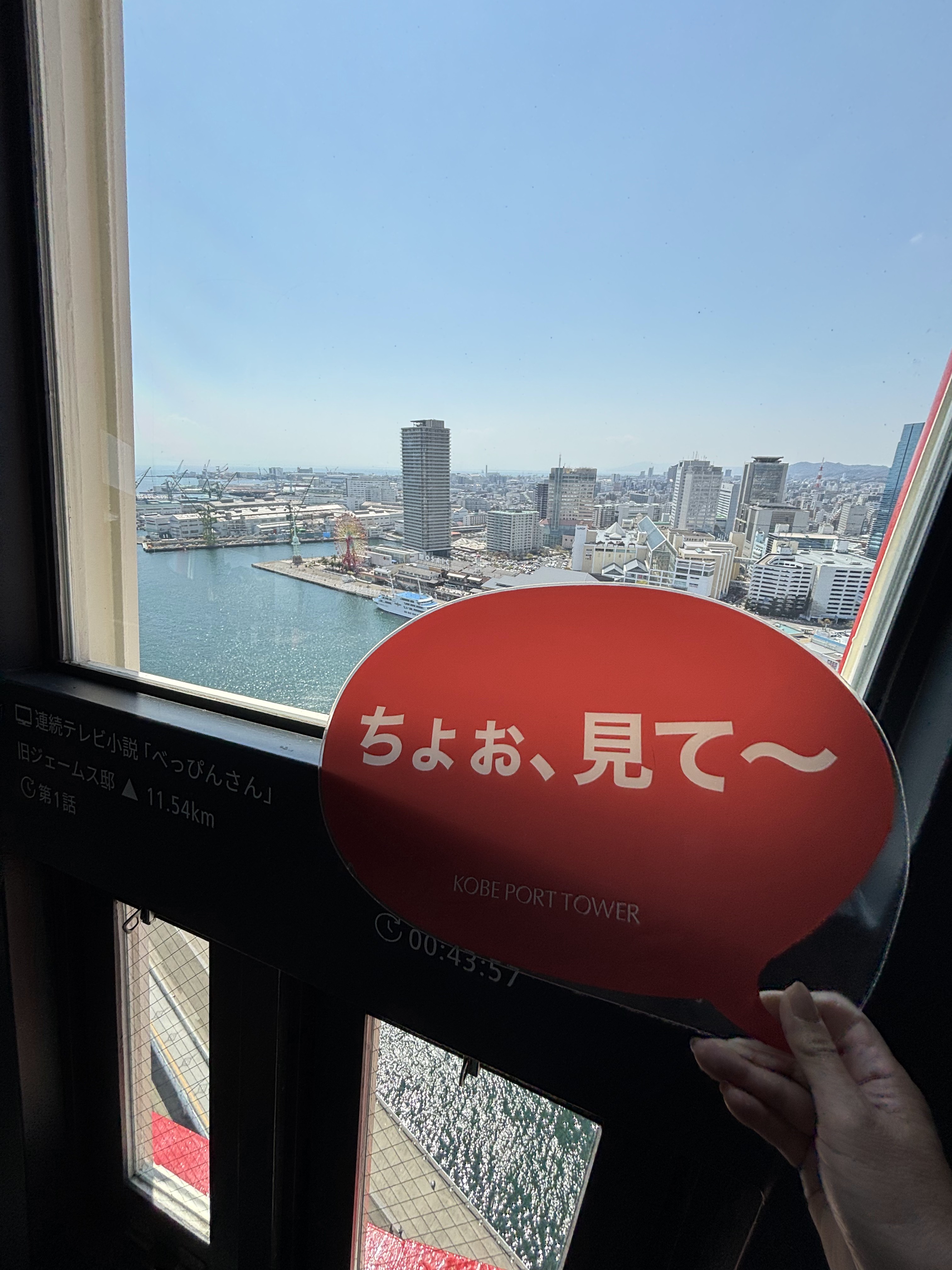 神戸ポートタワー5