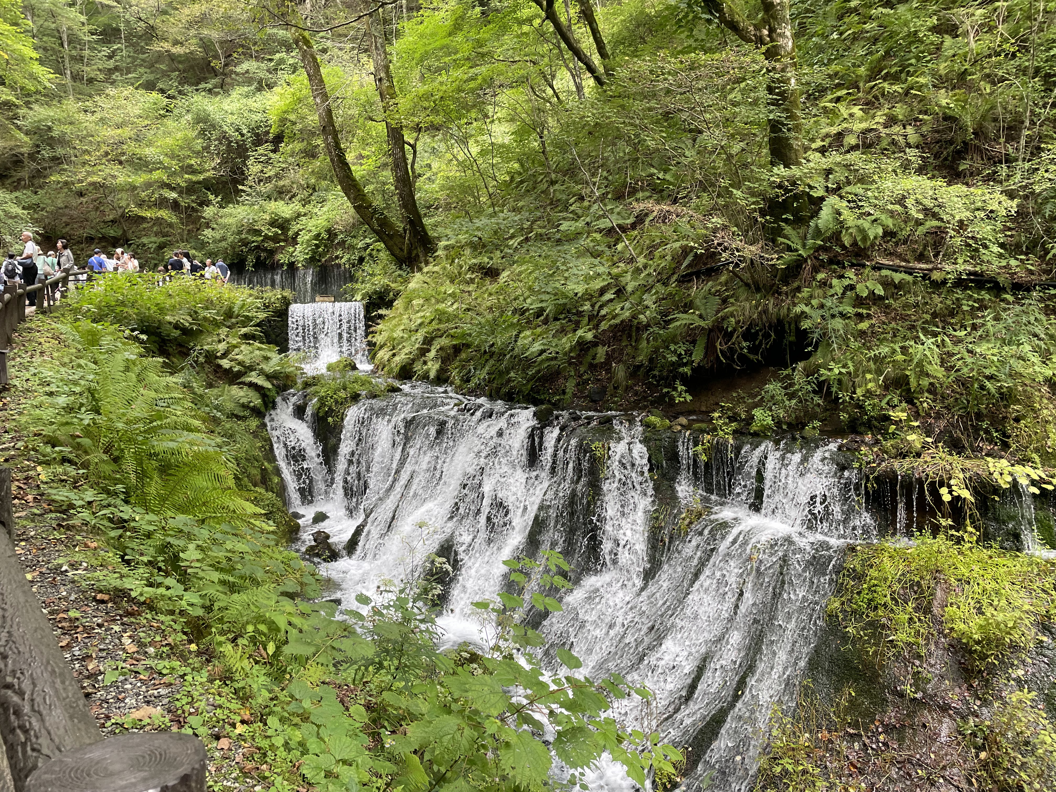 写真2
