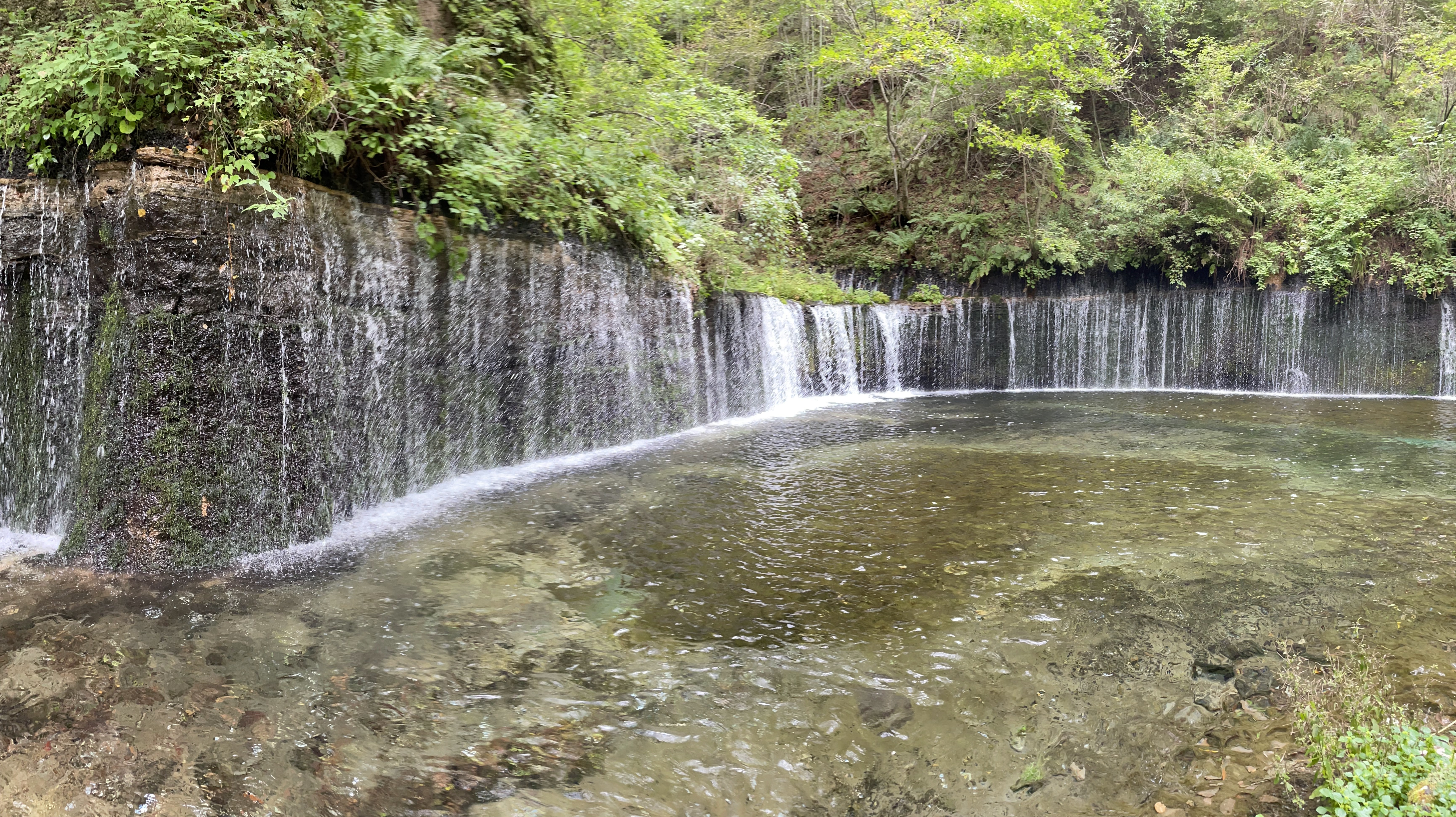 写真4