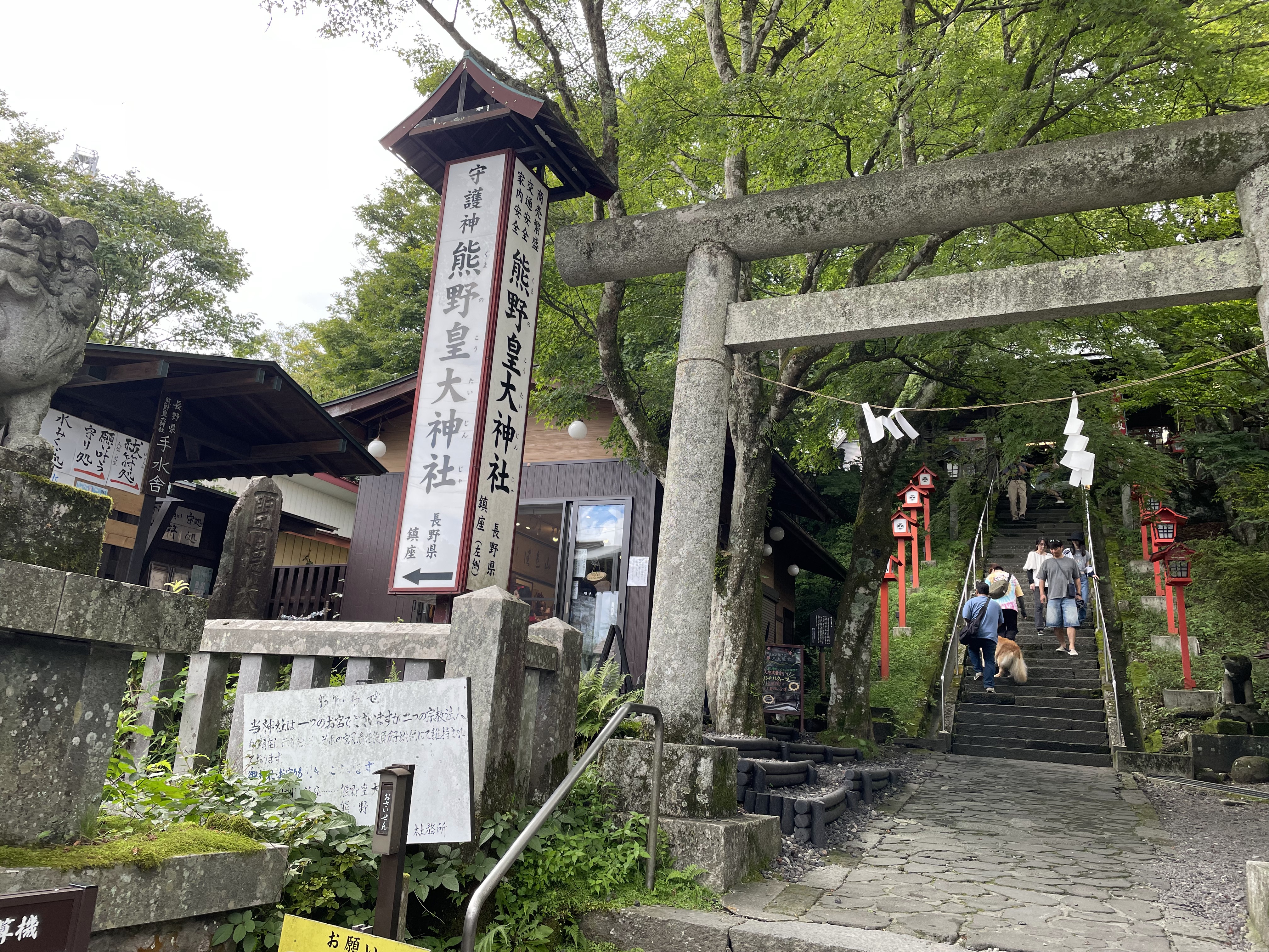 写真1