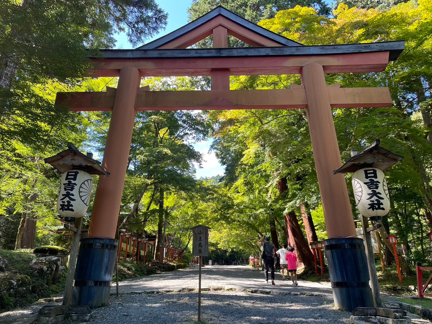写真2