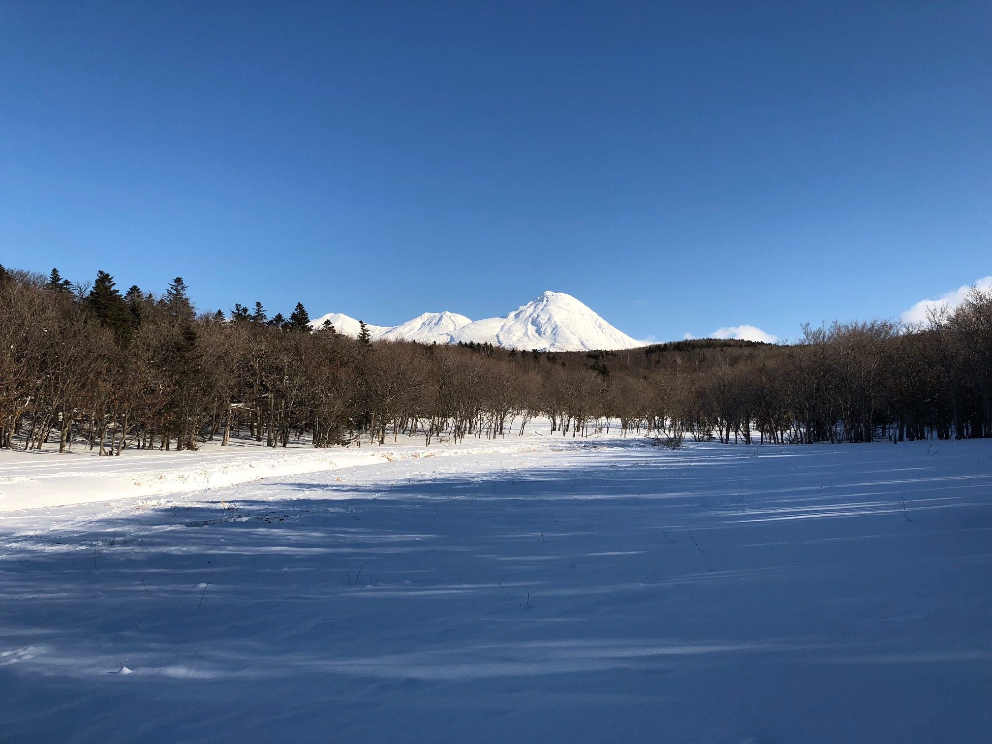 はじめての「自分のための旅」知床・網走・阿寒4日間の思い出