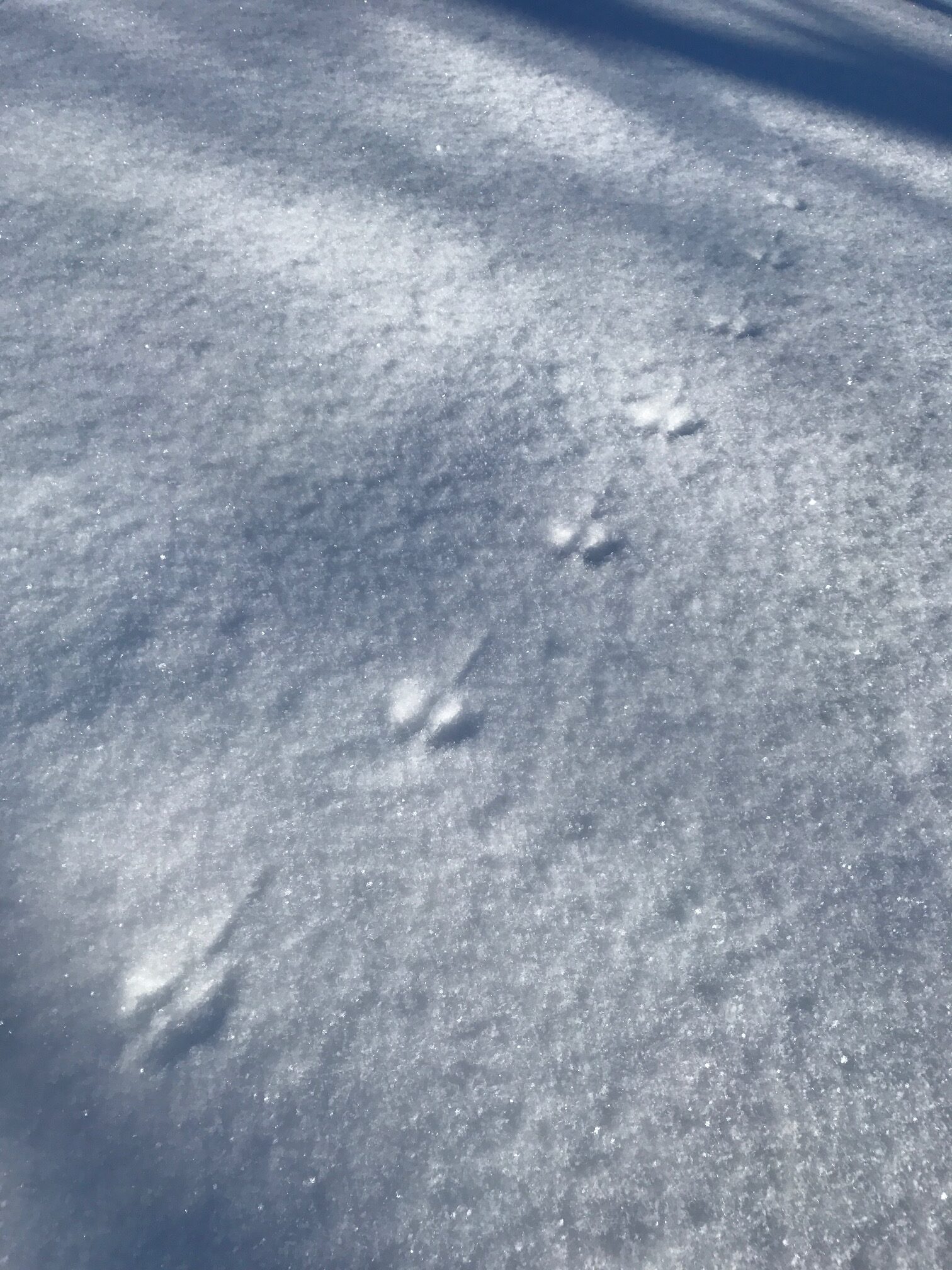 フレぺの滝2