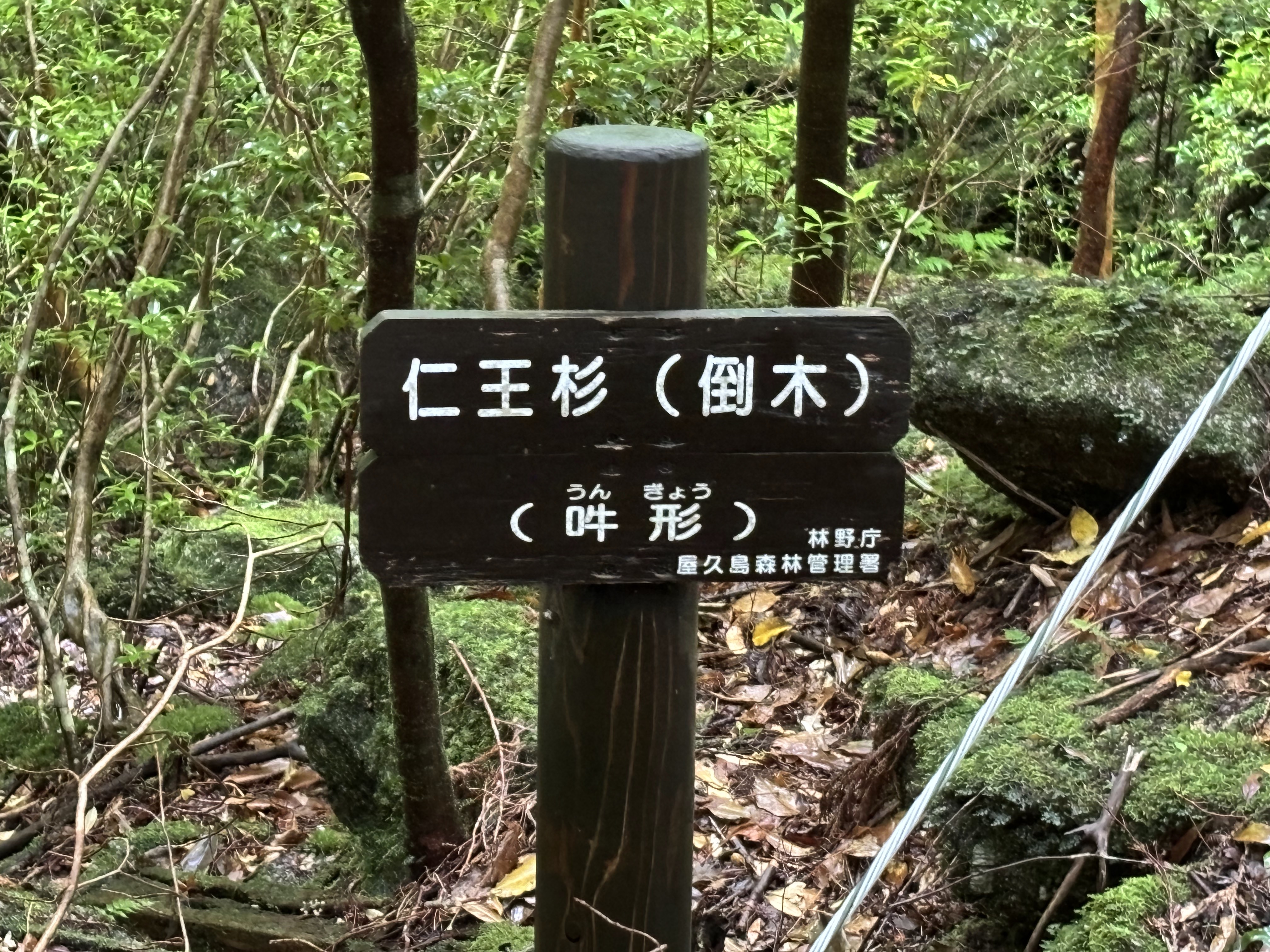 写真2