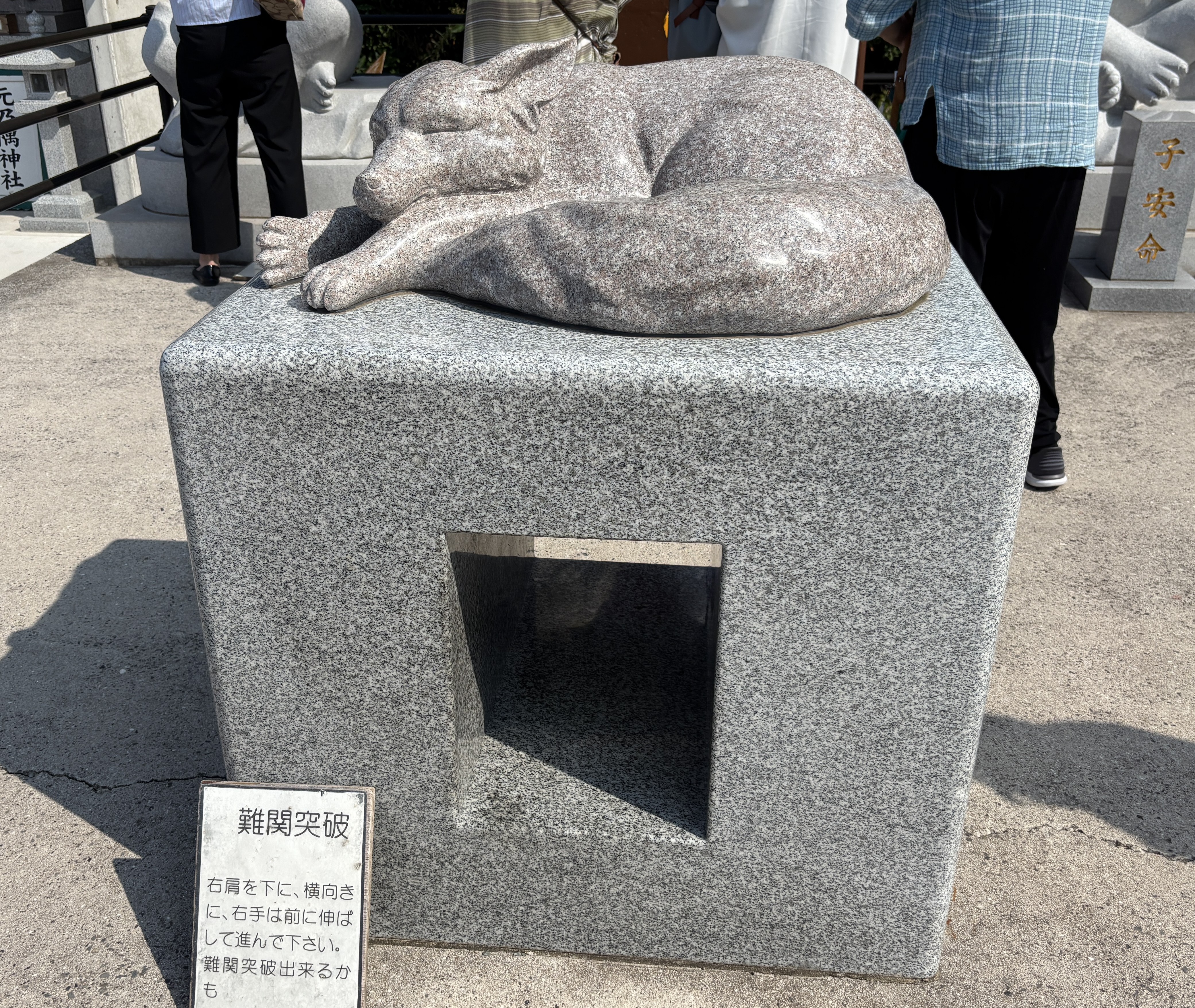写真1