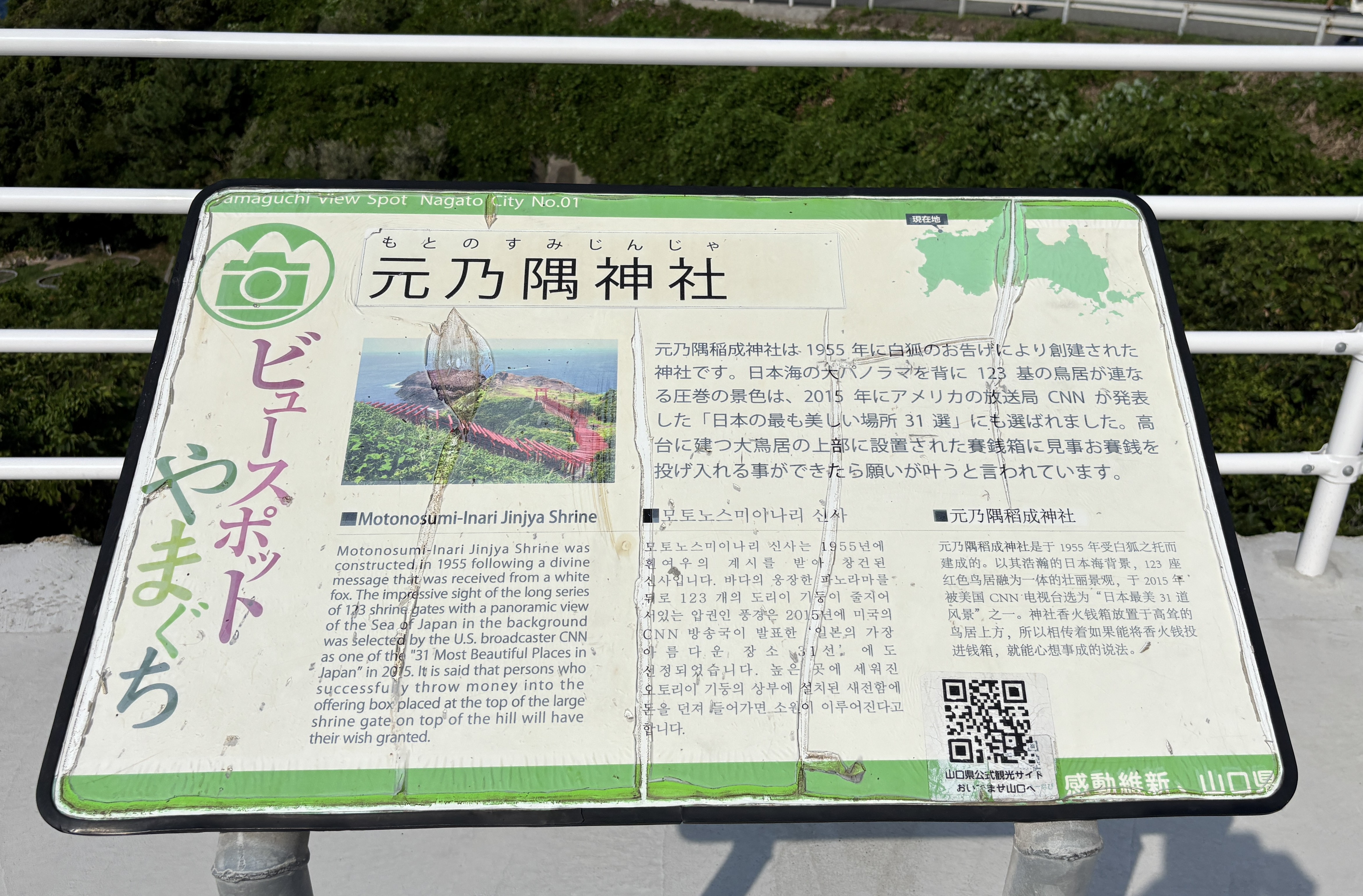 写真3