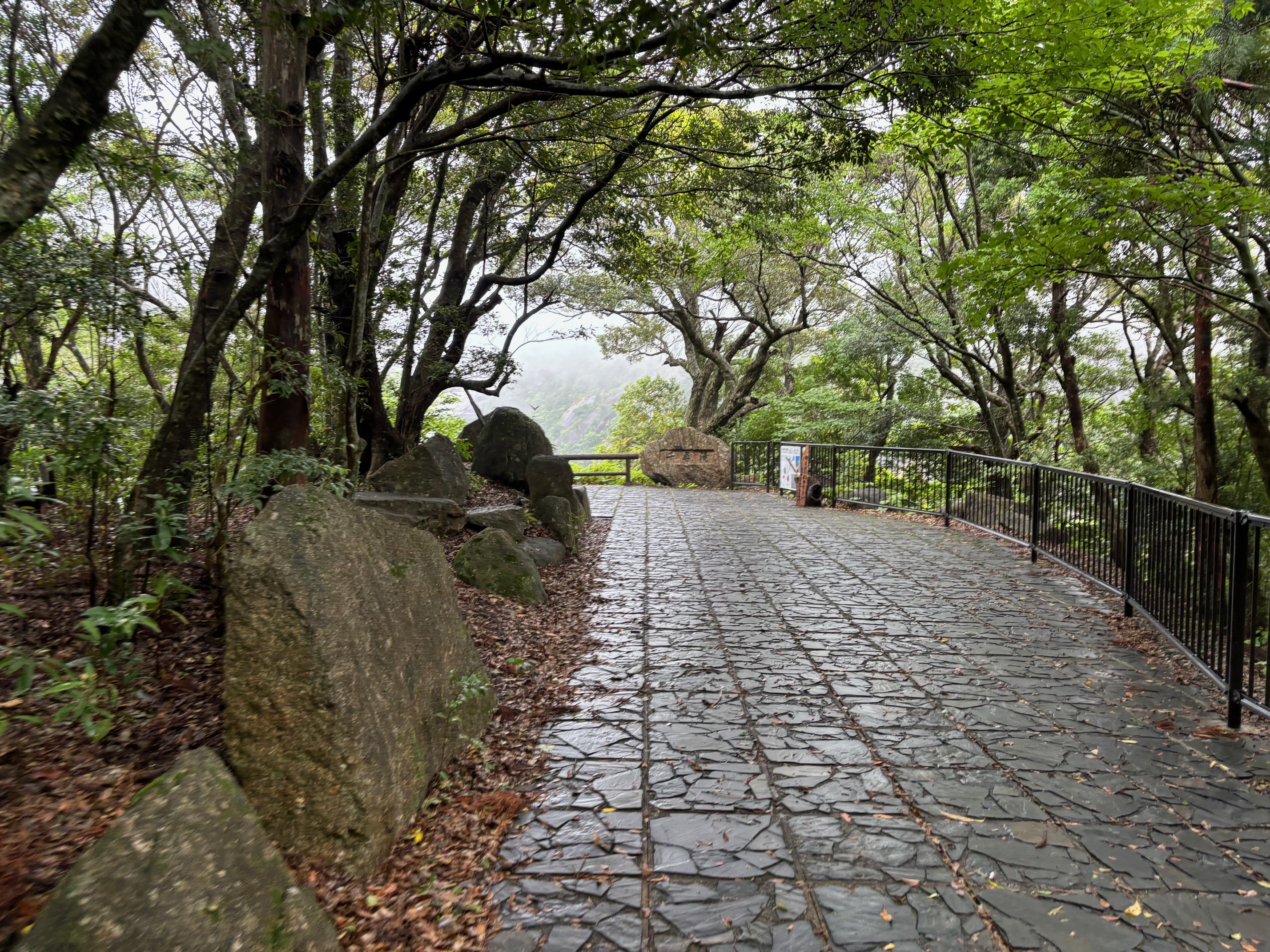 写真3