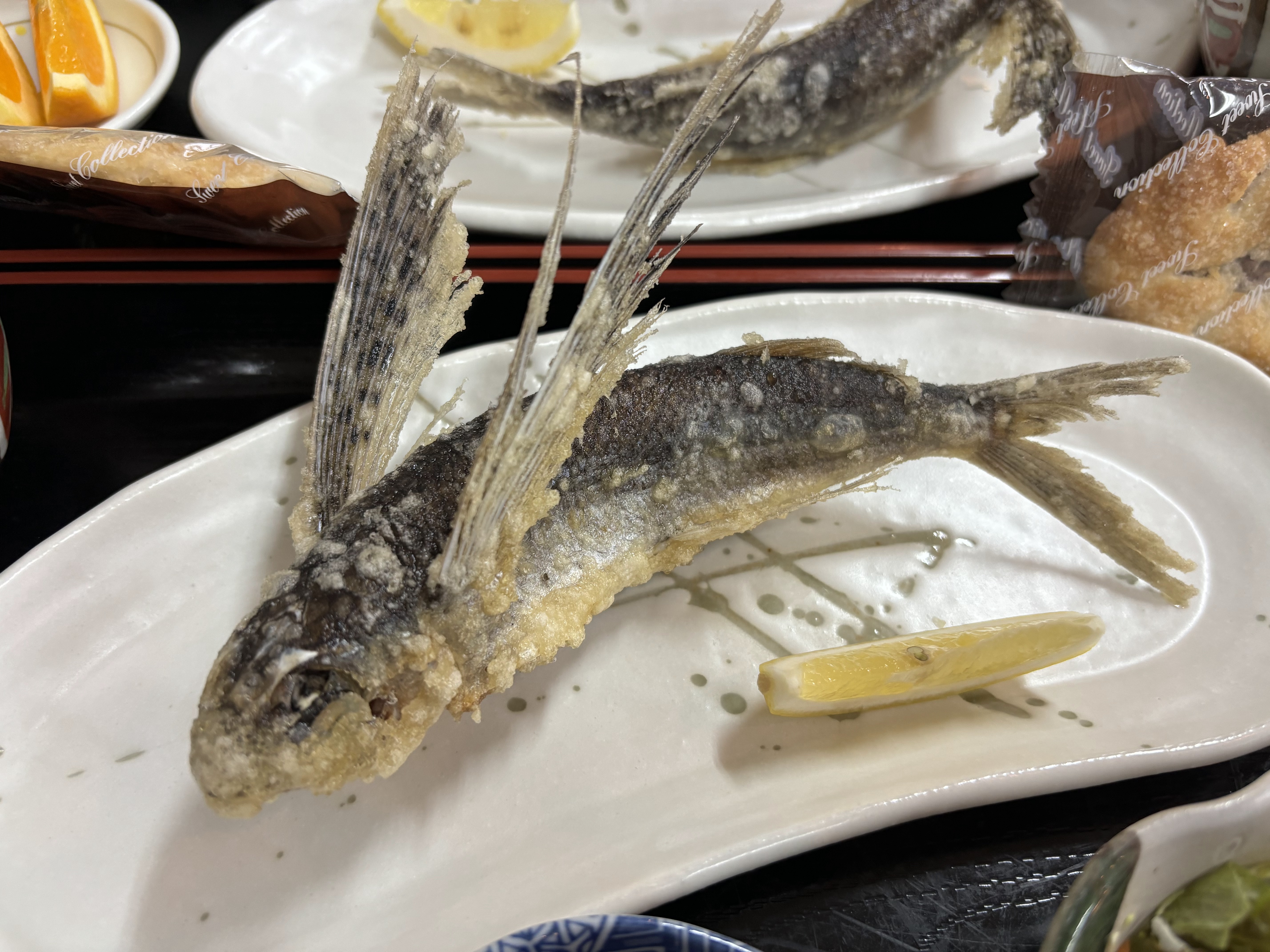 写真1