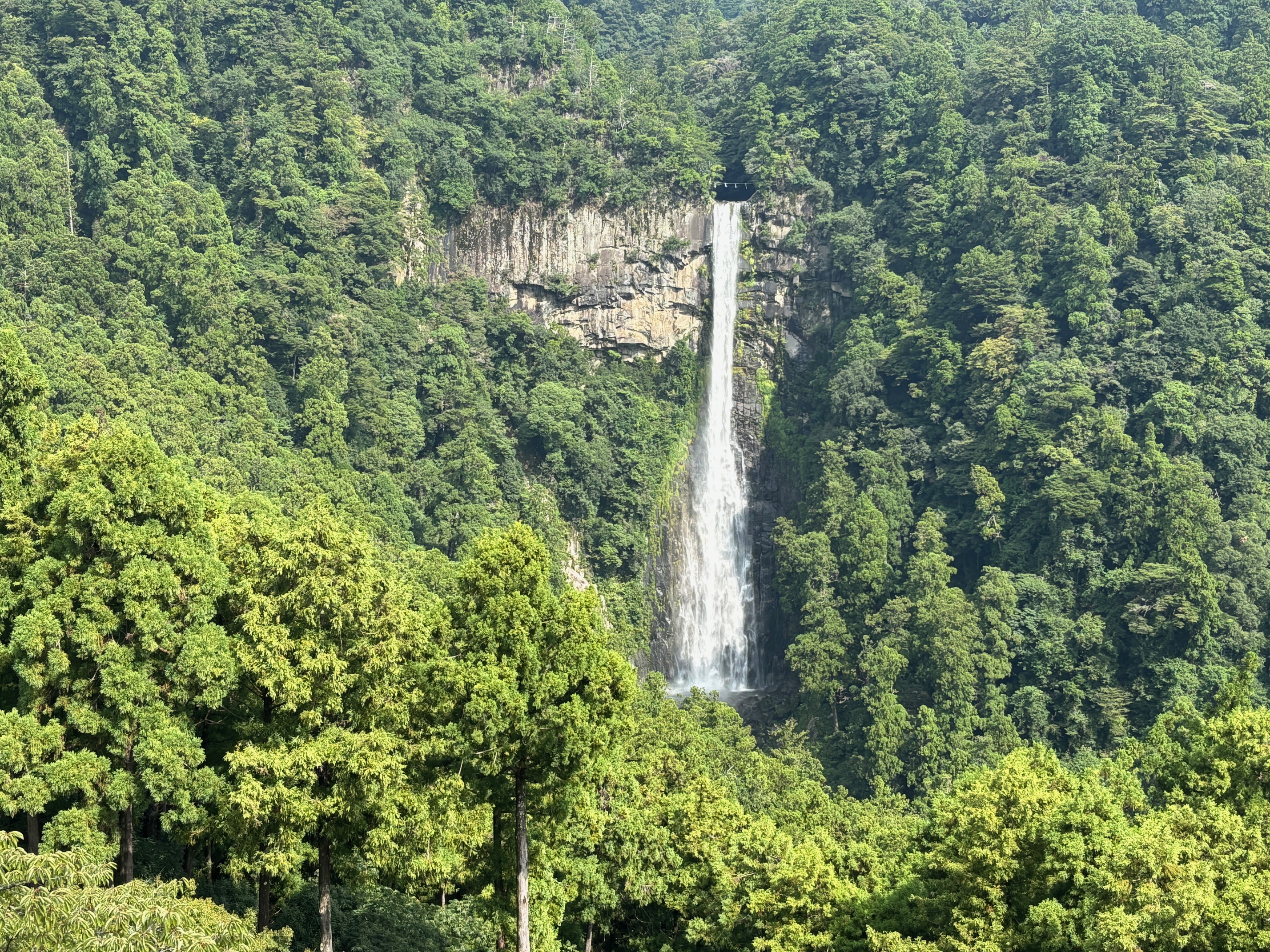 三重塔と那智大滝3