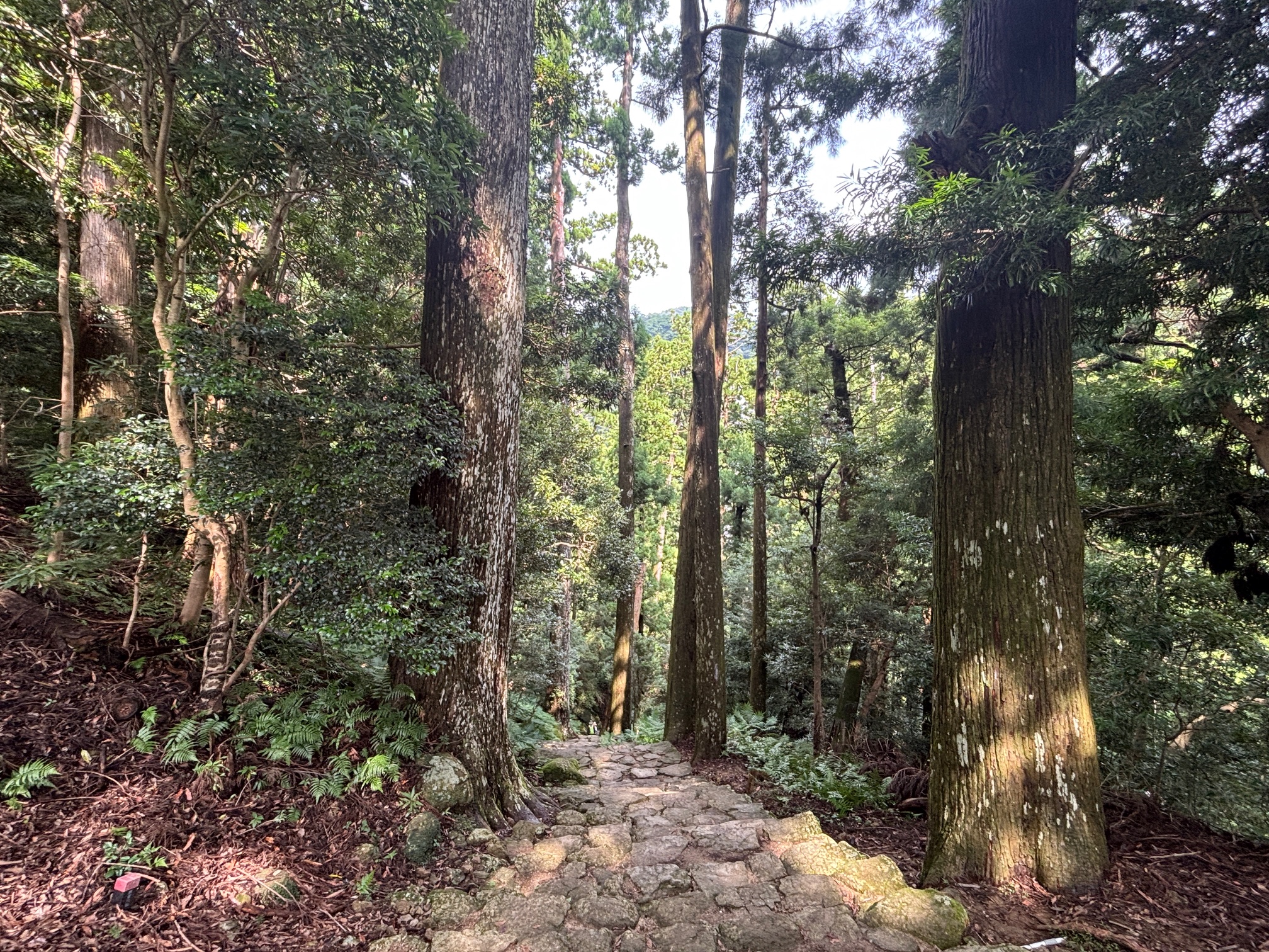 那智大滝1