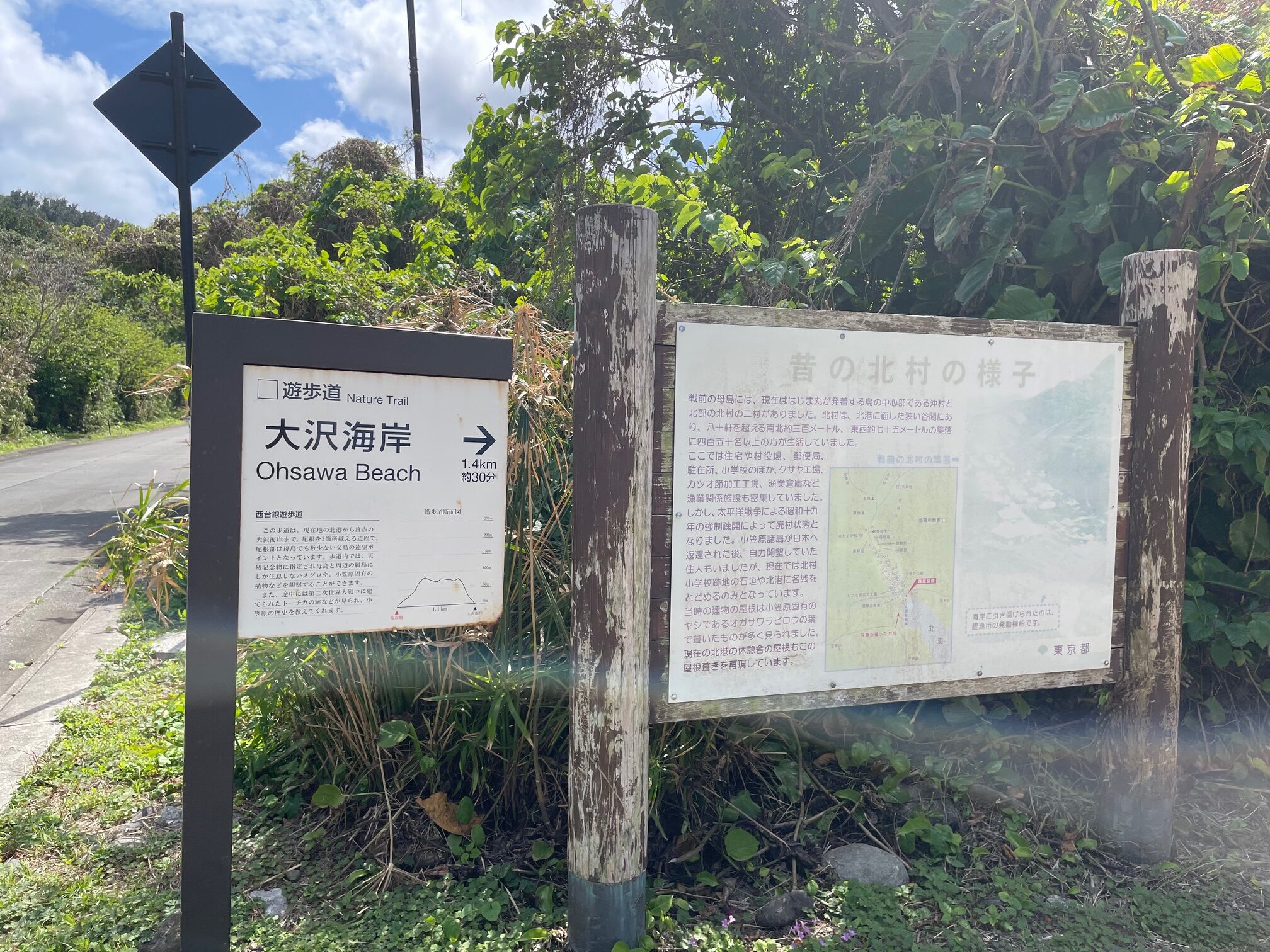 母島5