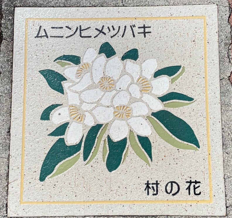 母島15