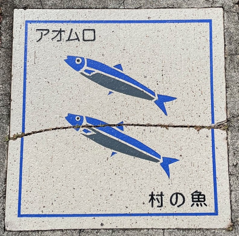 母島16