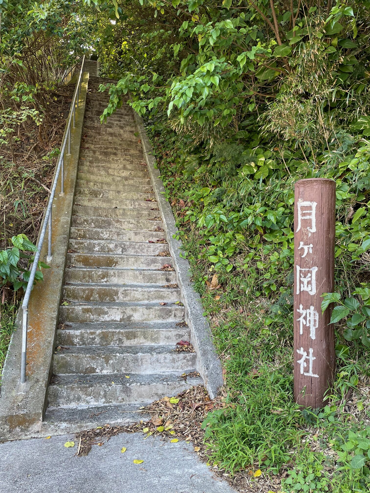 母島7