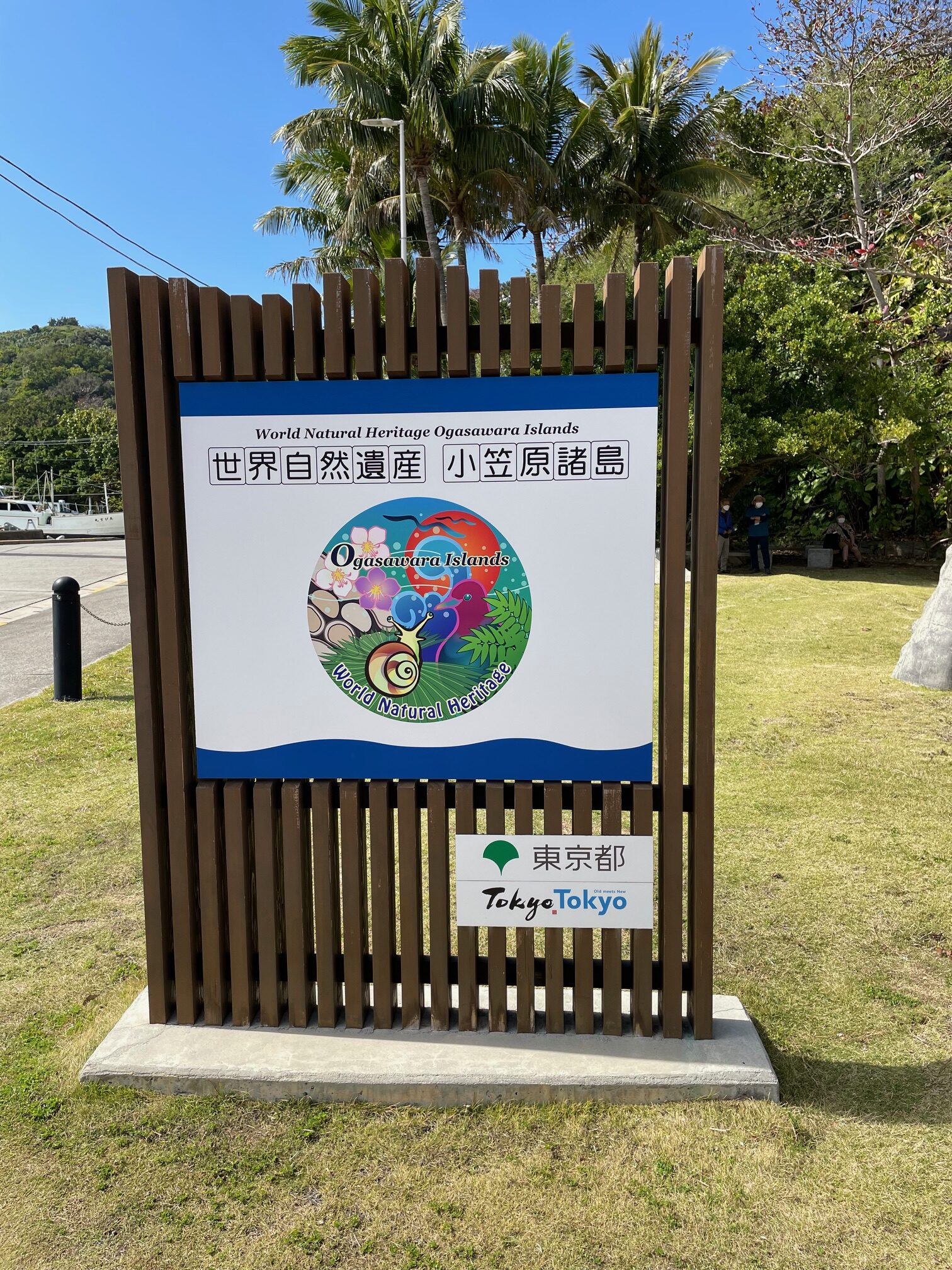 母島13