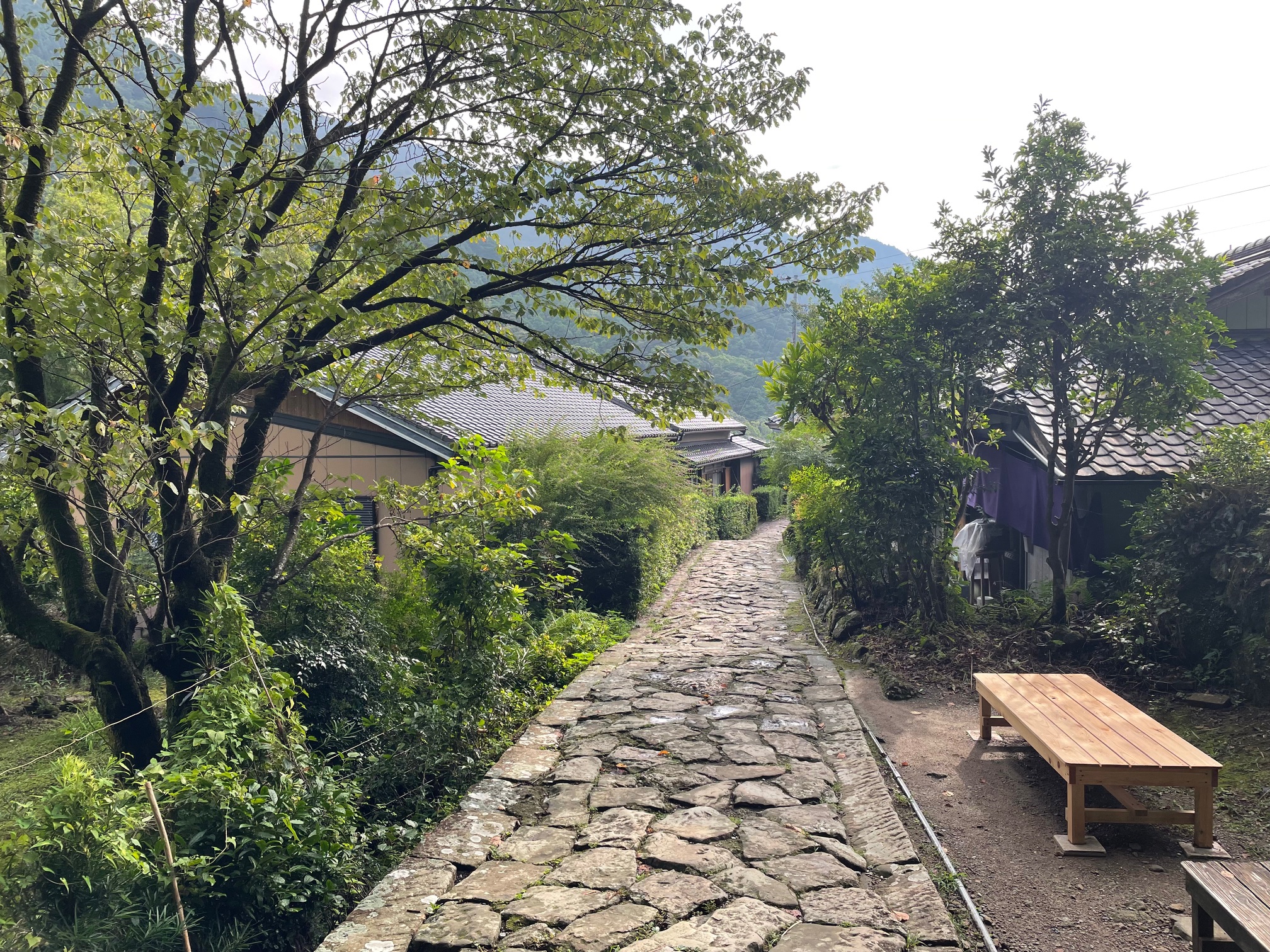 熊野古道5