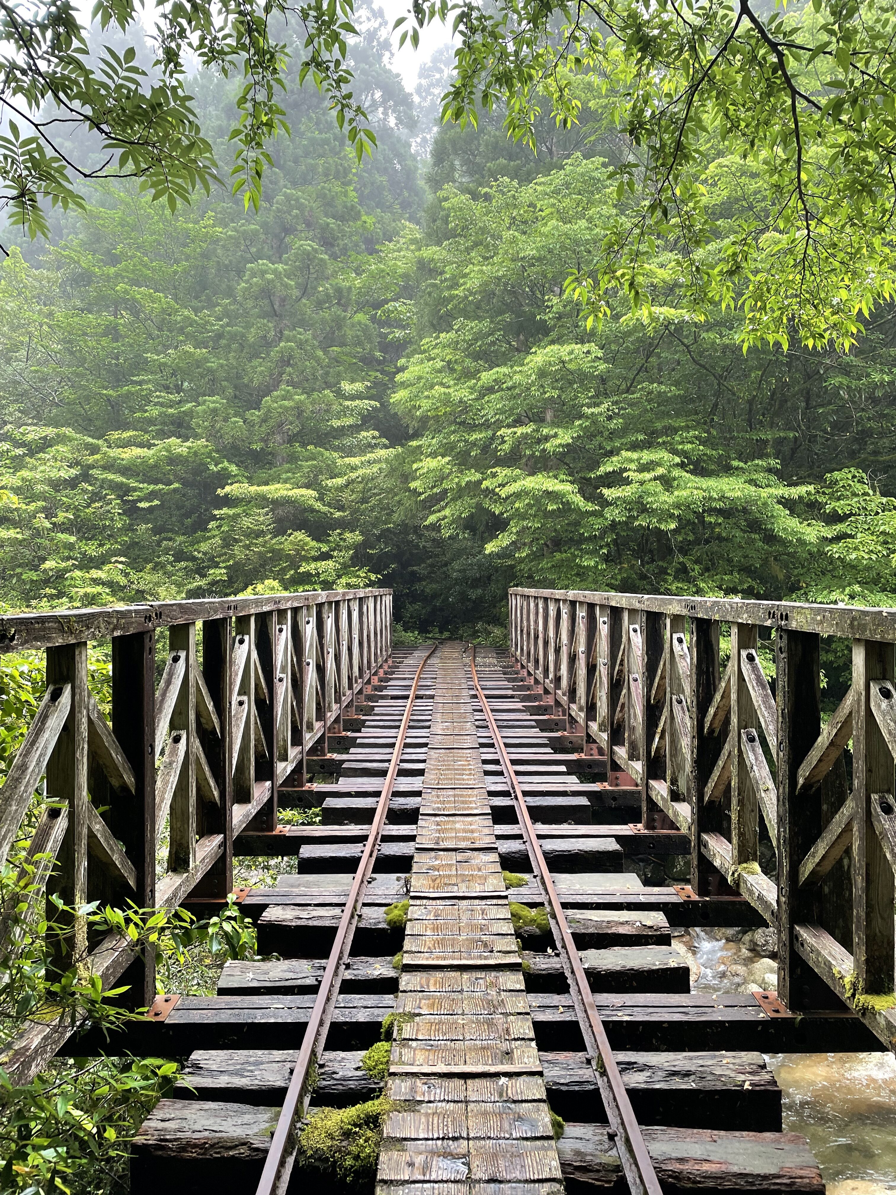 写真2