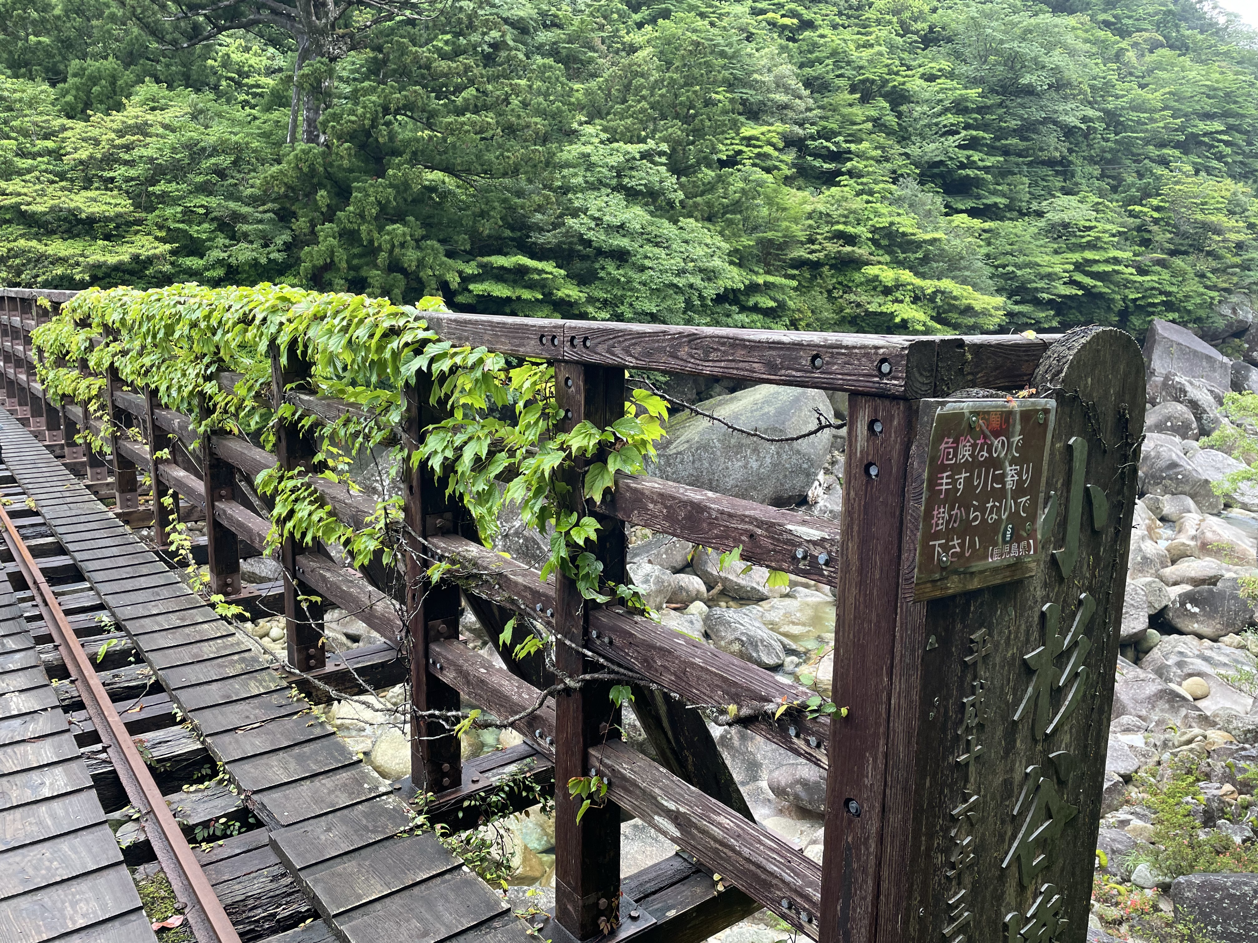 写真4