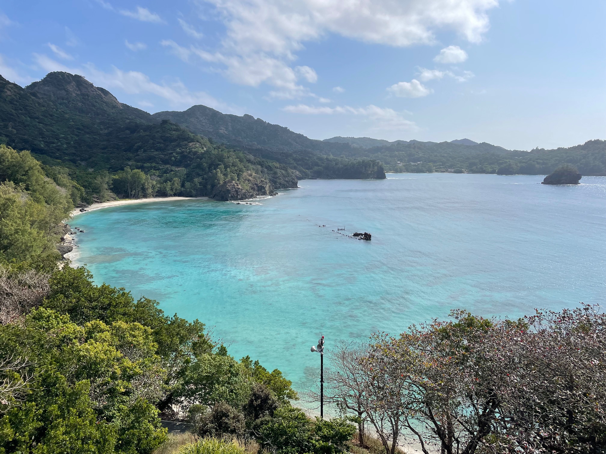 世界自然遺産の島・小笠原諸島へ｜父島・母島で出会った感動体験記