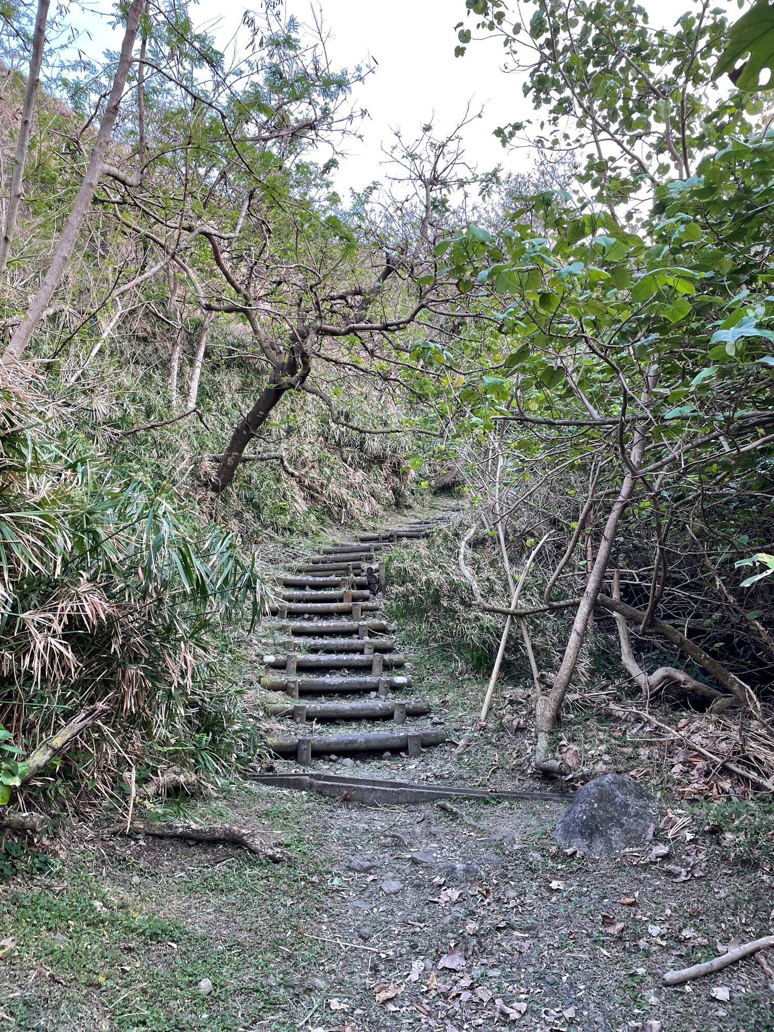 小港海岸2
