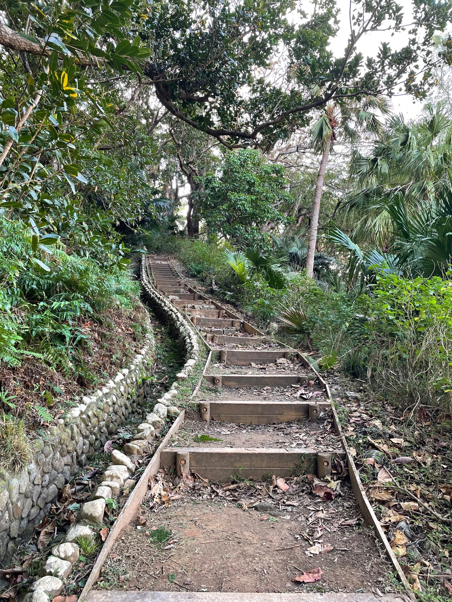 小港海岸3
