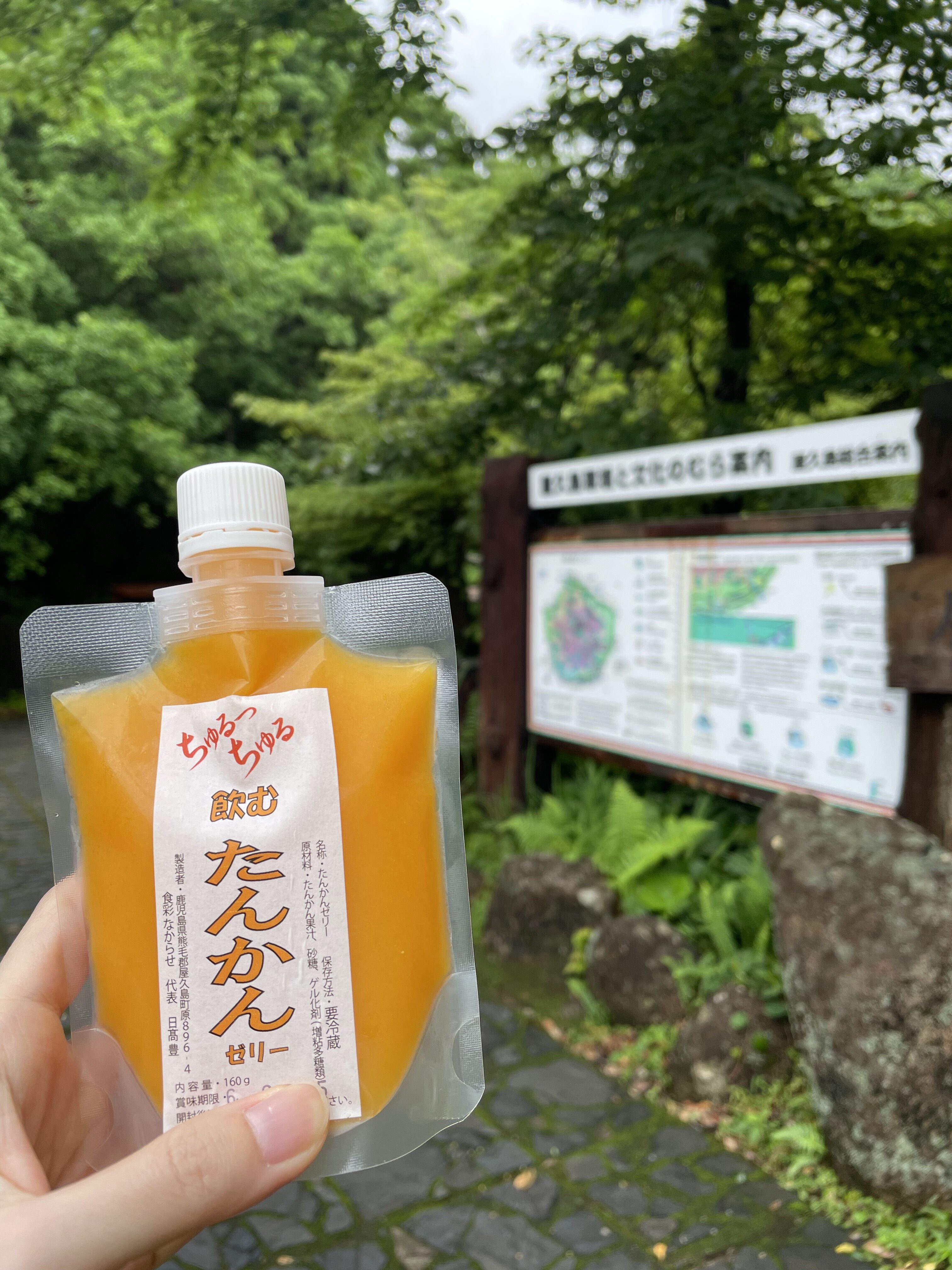 写真3