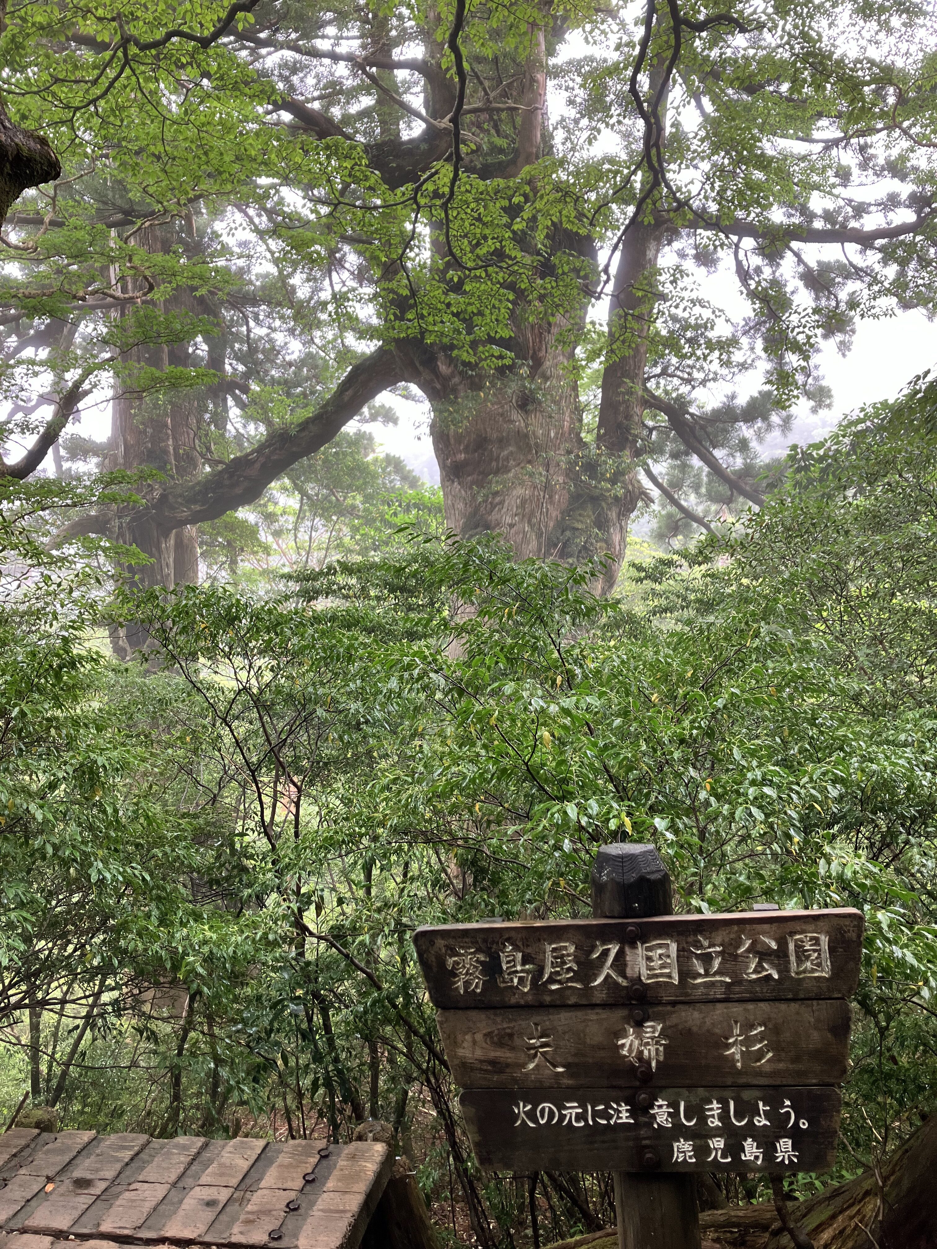 写真3