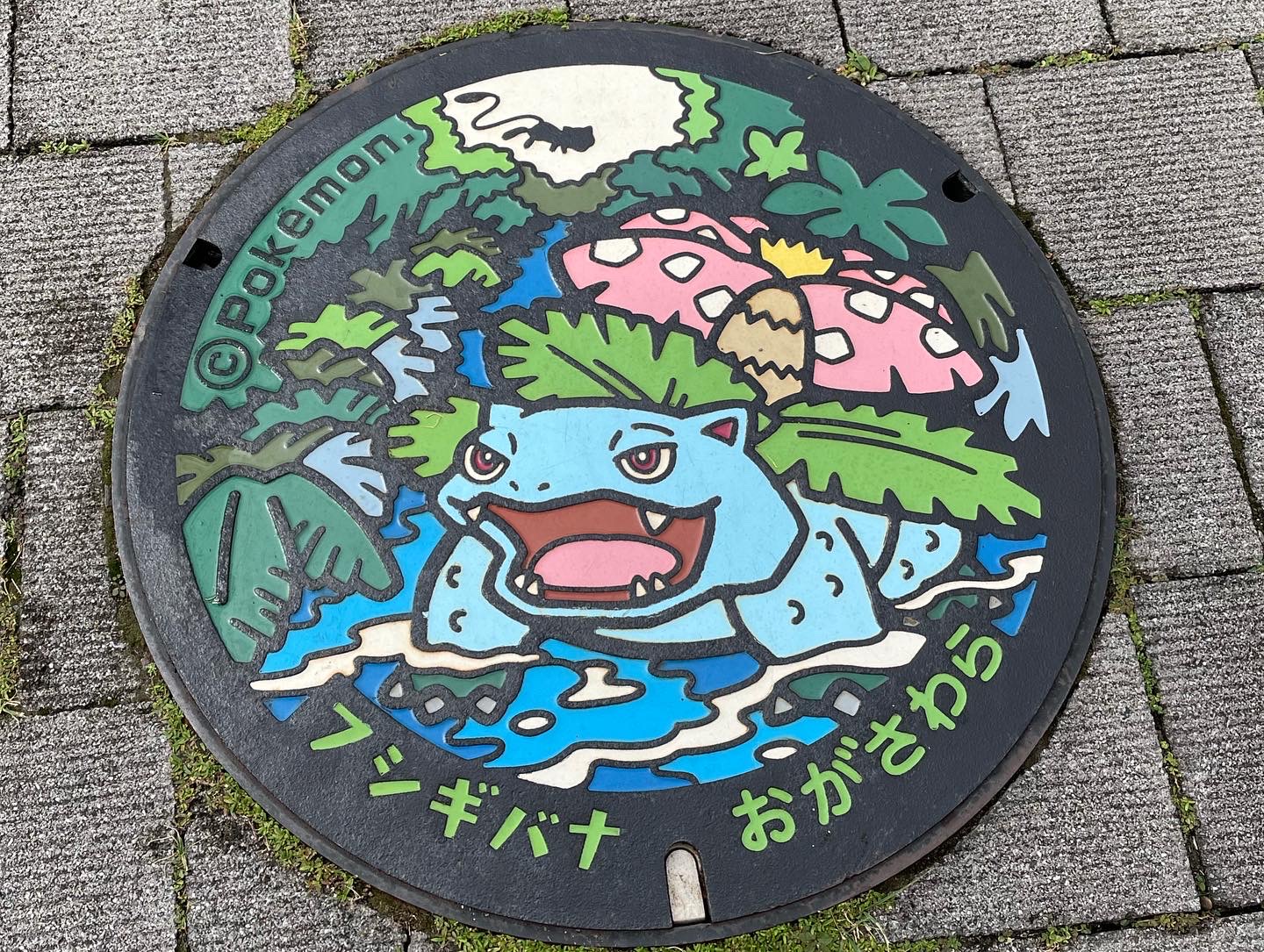 小笠原マンホール2