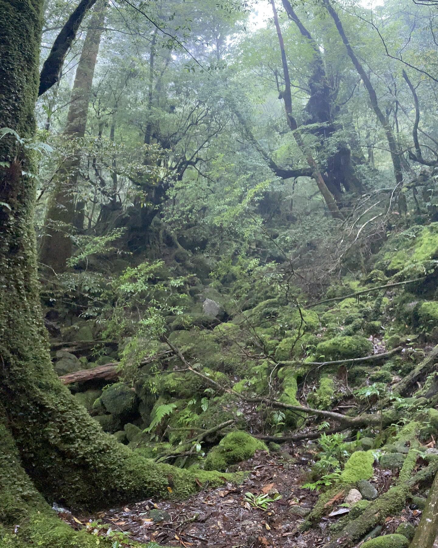 写真2