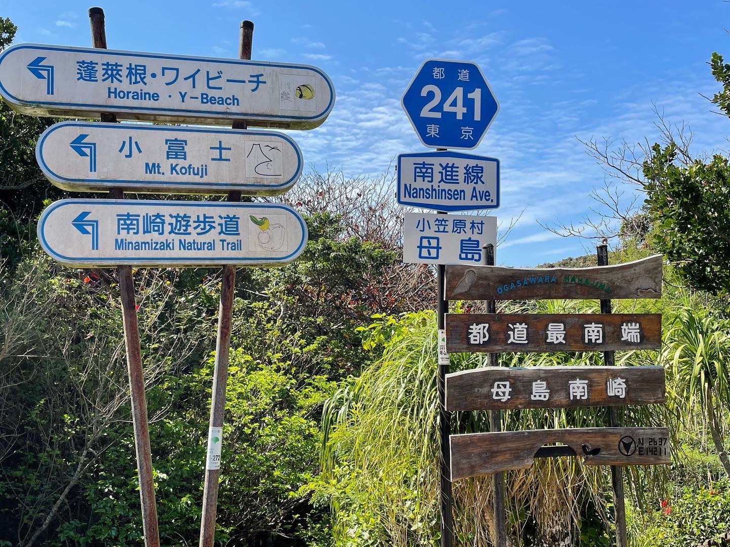 母島2