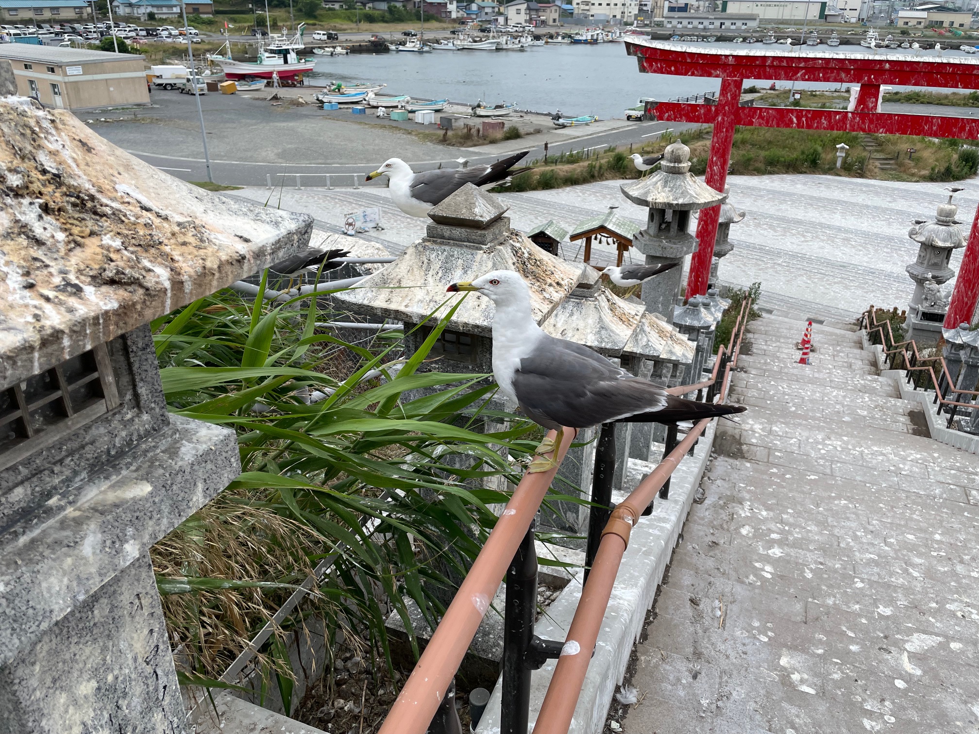 蕪嶋神社2