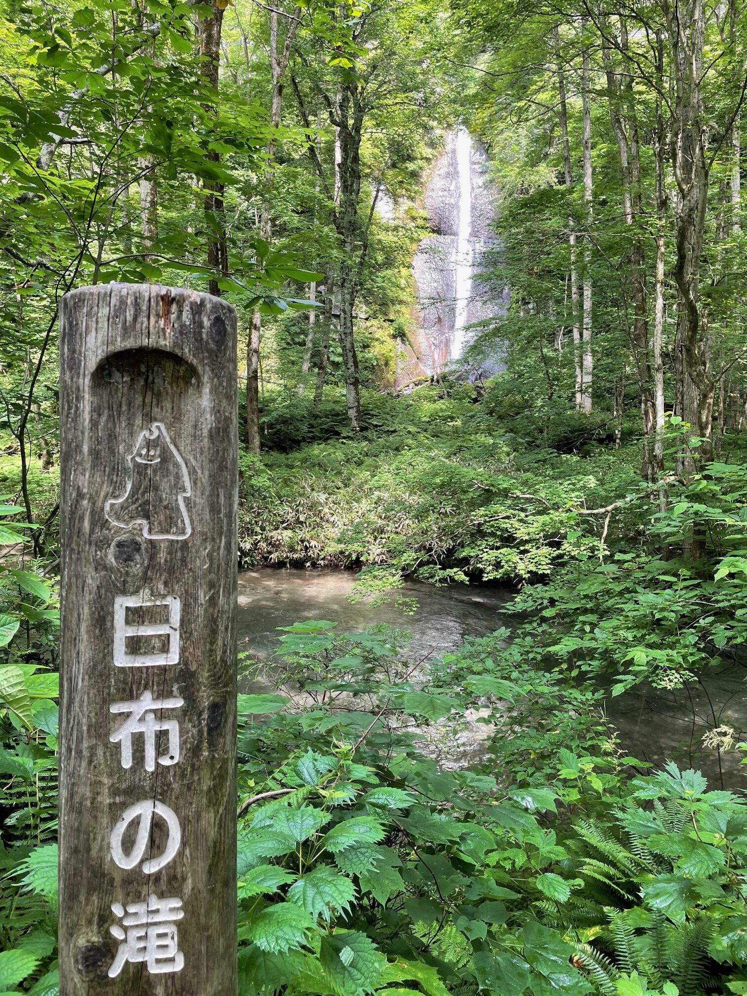 雲井の滝1