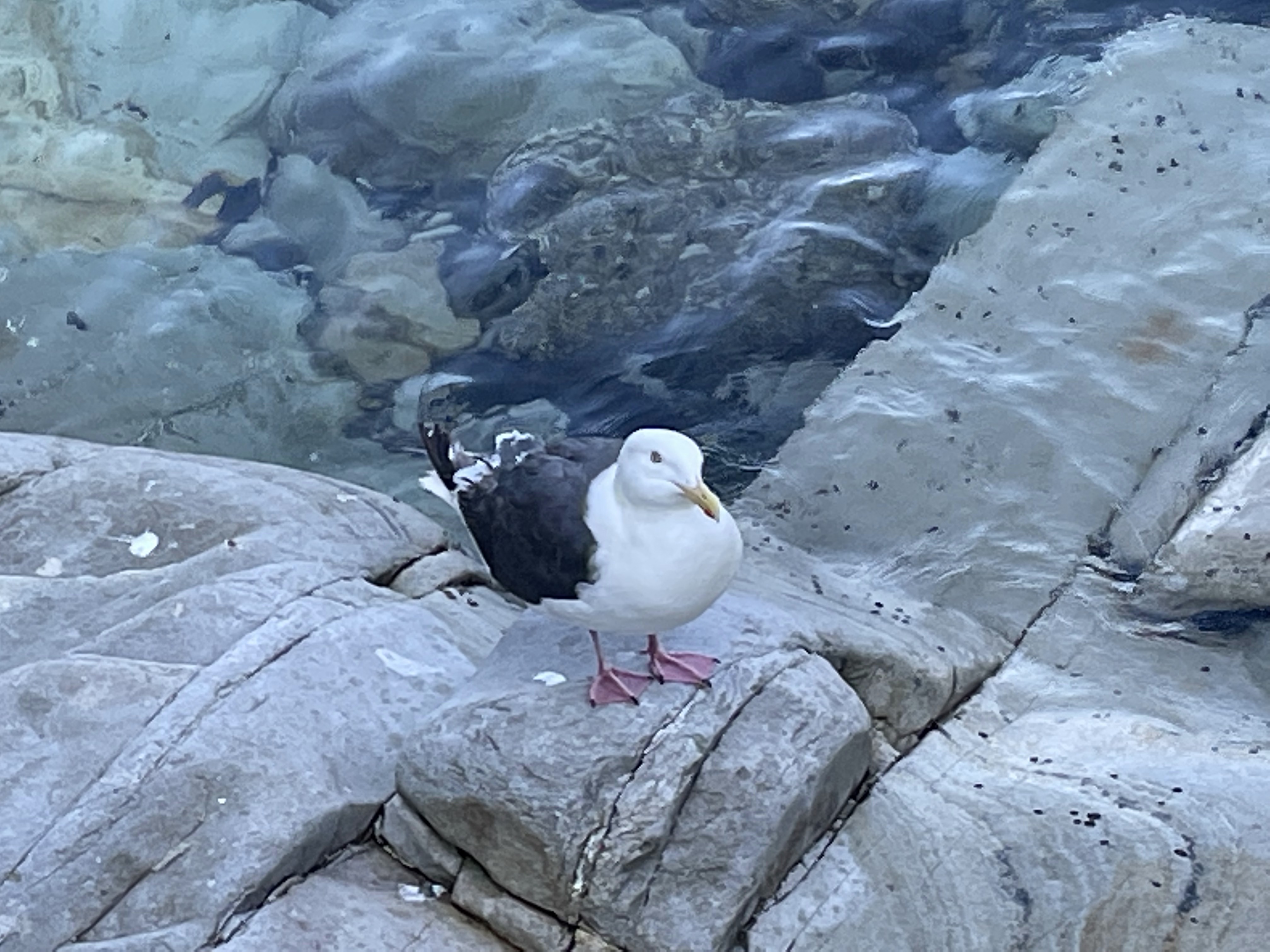 浄土ヶ浜4