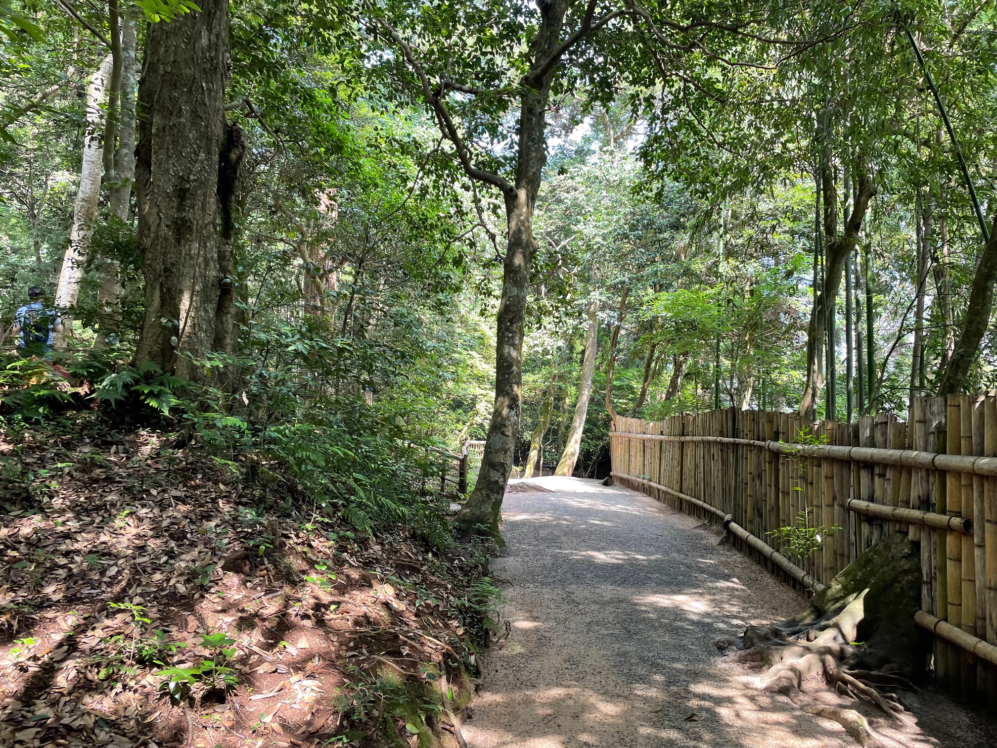 八重垣神社2