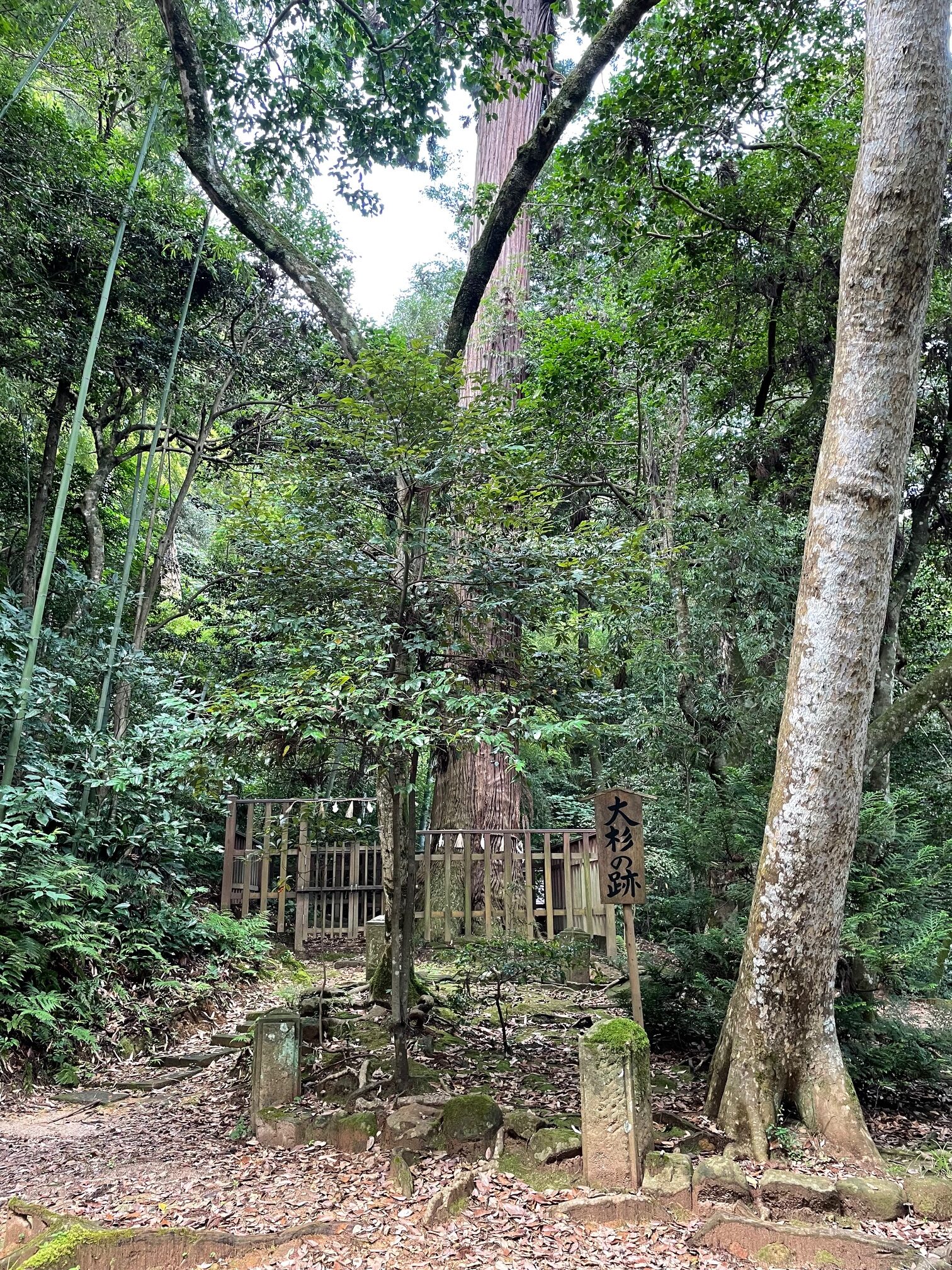八重垣神社5