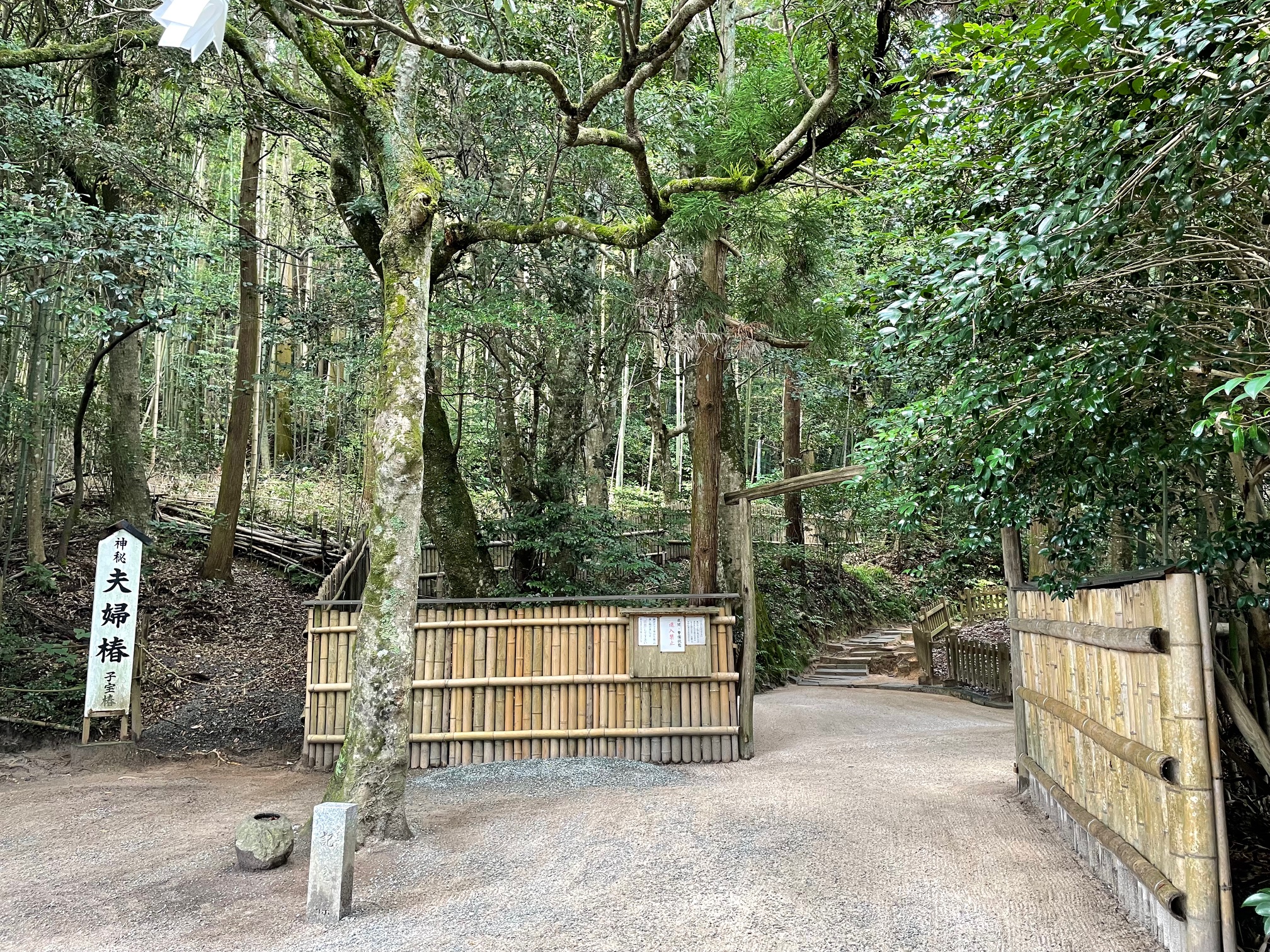 八重垣神社6